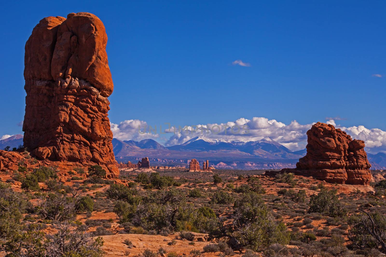 Scene near Balancing Rock in Arches National Park. Utah.