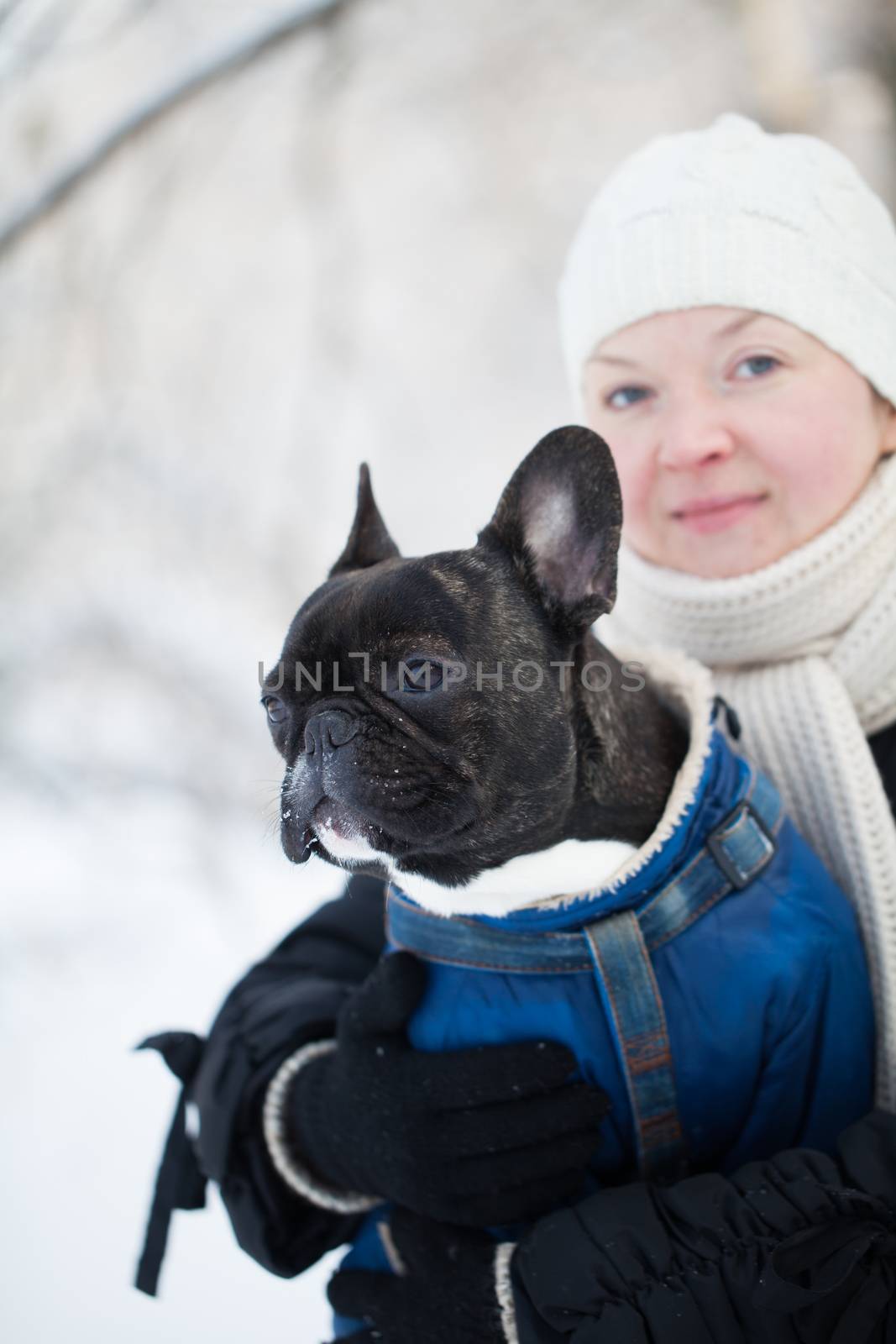 French bulldog in the arms of a woman in winter