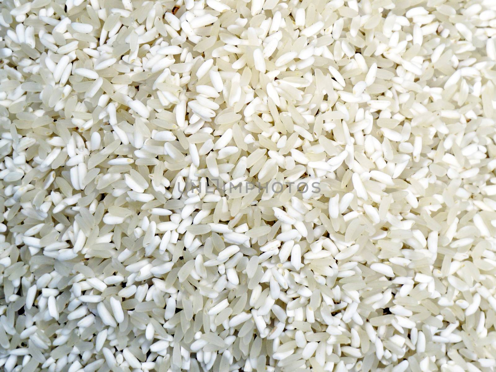 Close up white Rice by polarbearstudio