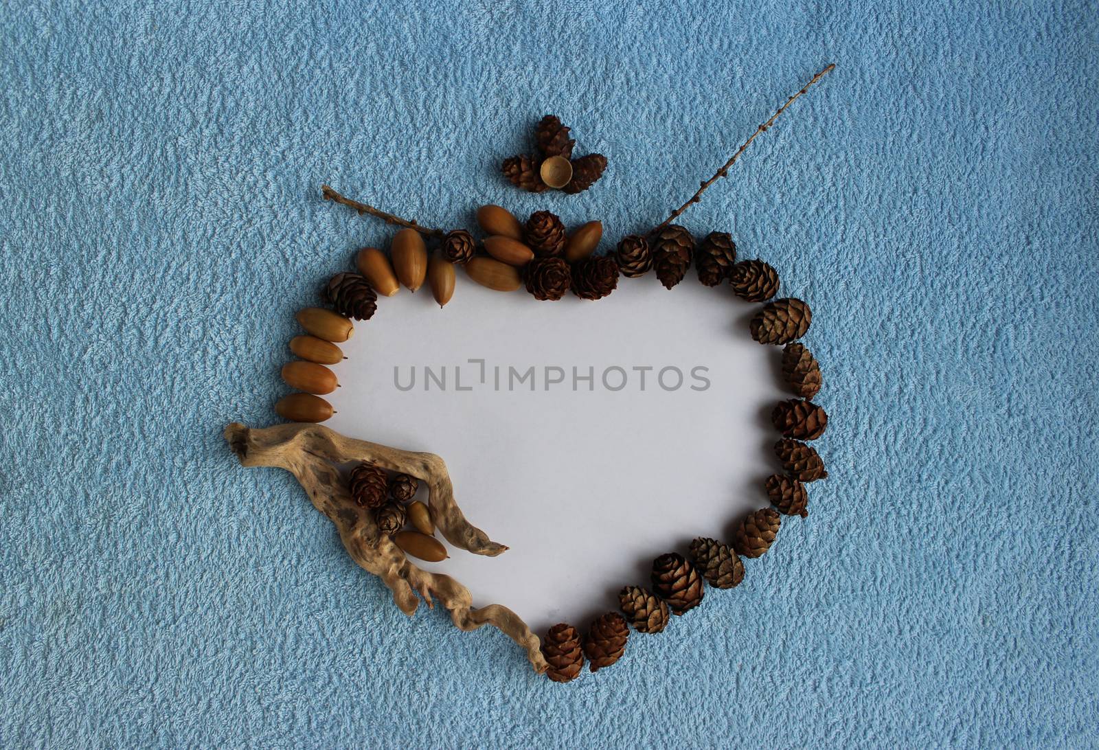 A heart frame of larch cones, acorns and dry sticks on a blue and white background.