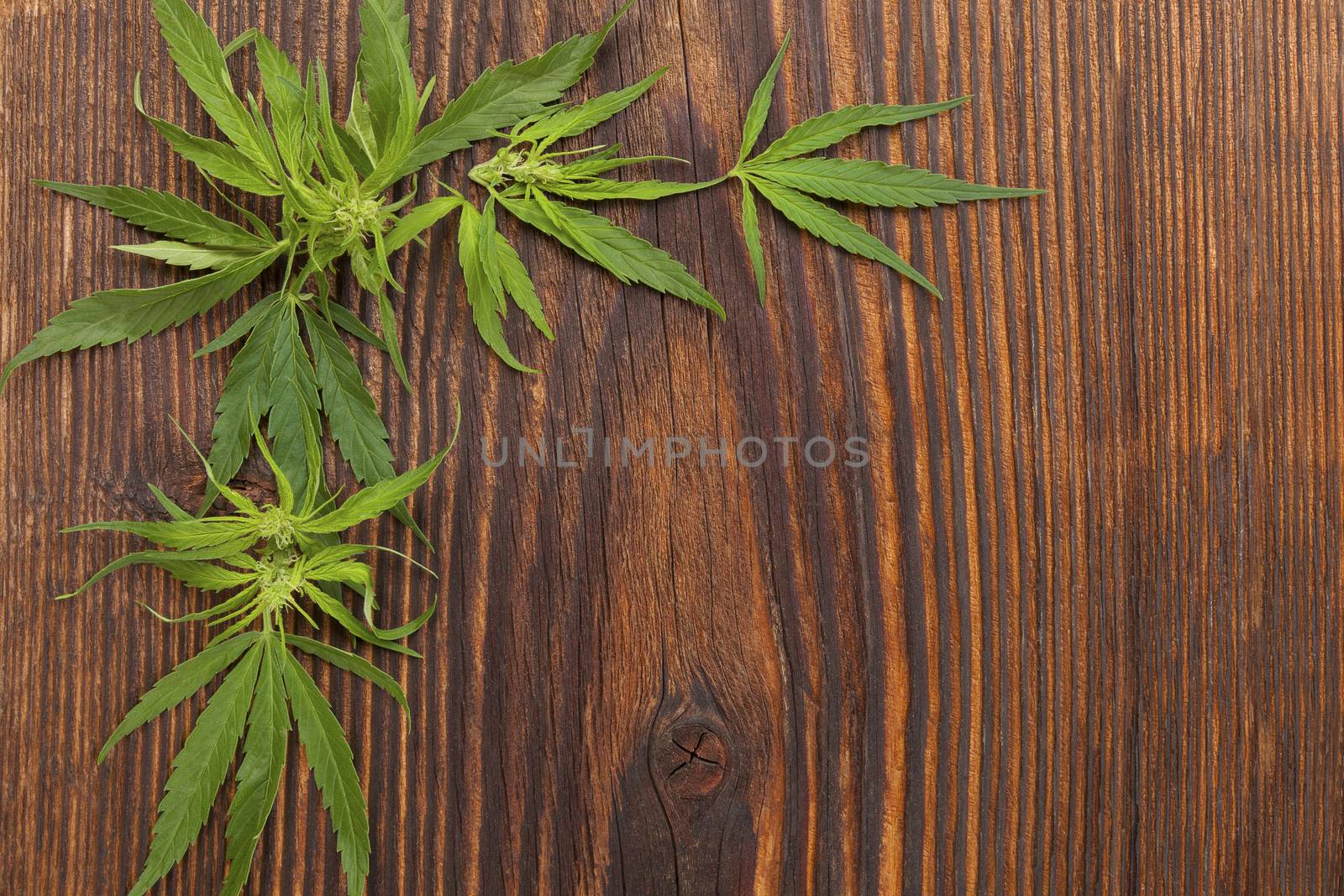 Wooden cannabis background.  by eskymaks