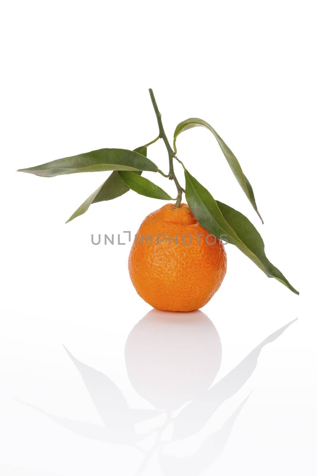 One tangerine isolated on white background. Healthy tropical fruit eating. 