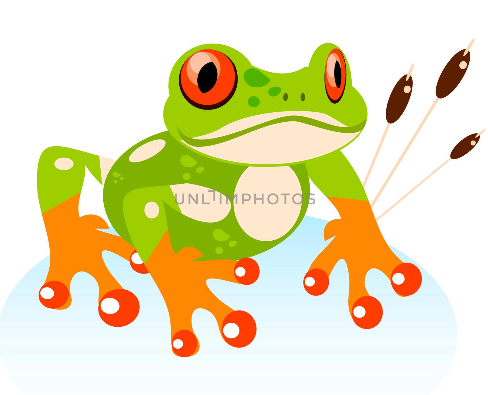 Vector Cute Cartoon Friendly Frog, Colorful Red-eyed Tree Frog i by IconsJewelry