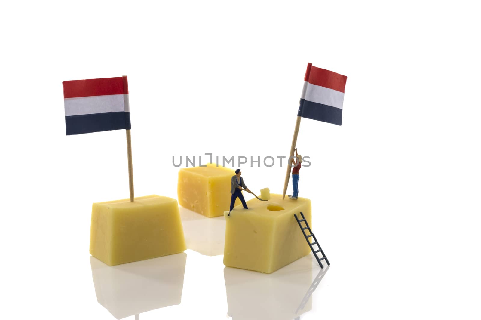 little people putting the dutch red white and blue flags on dutch cheese