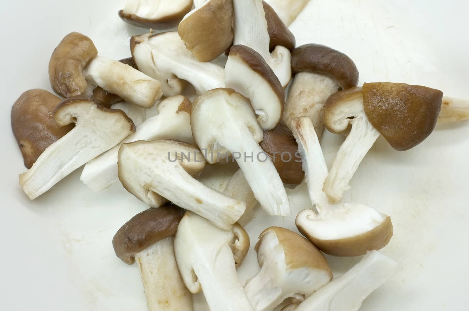 Raw fresh chopped mushroom