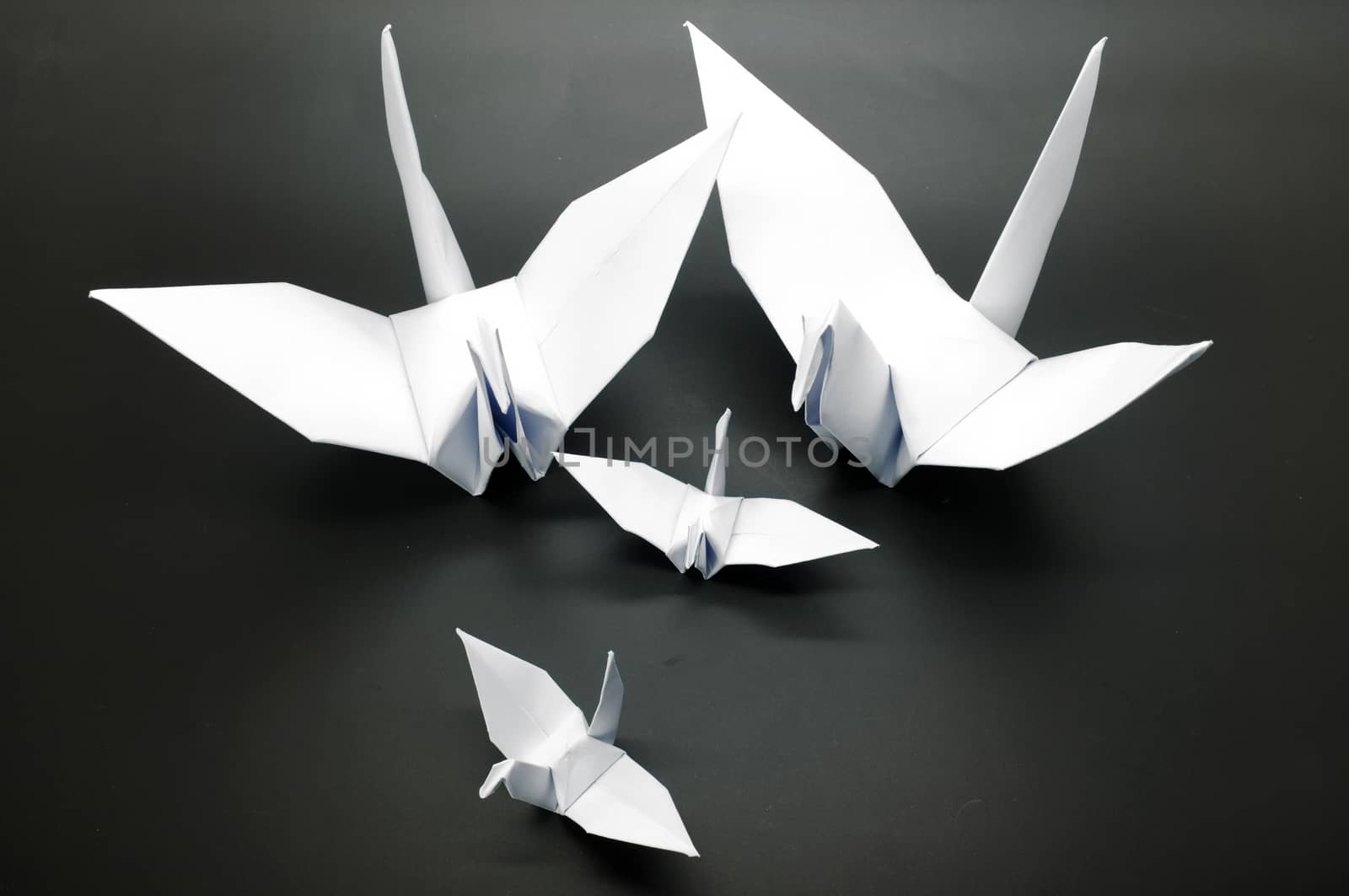 White origami crane, bird, paper by Hepjam