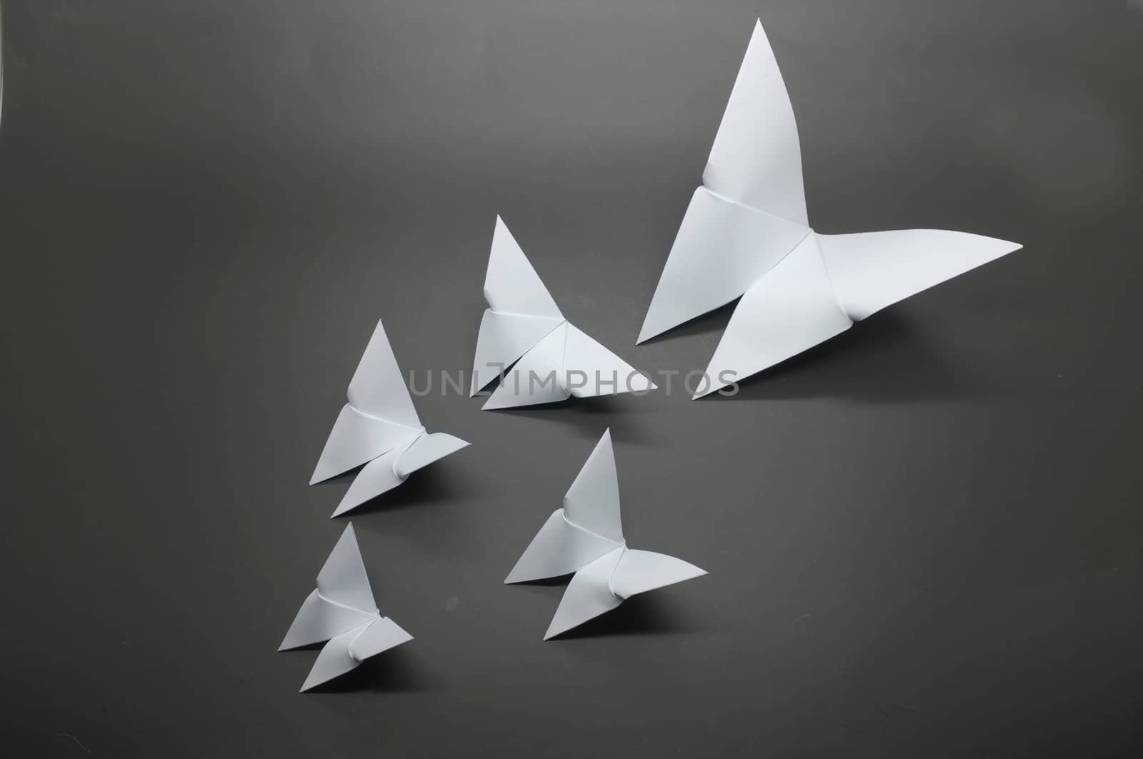 White origami butterfly paper by Hepjam