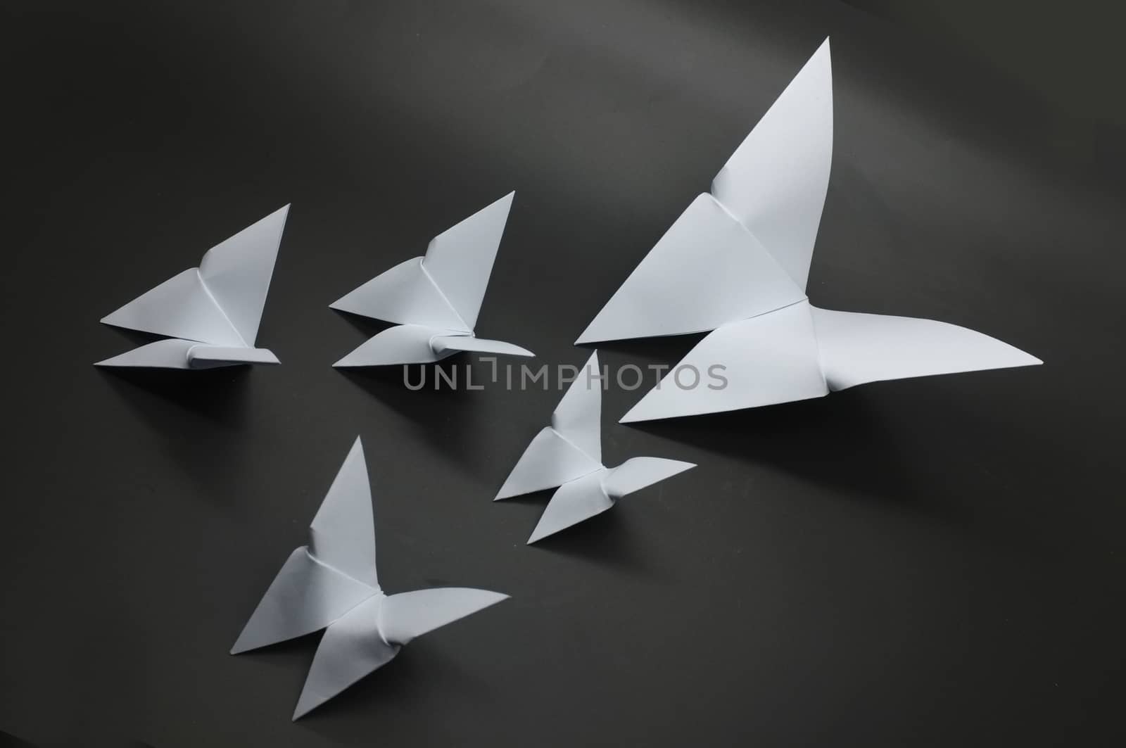 White origami butterfly paper