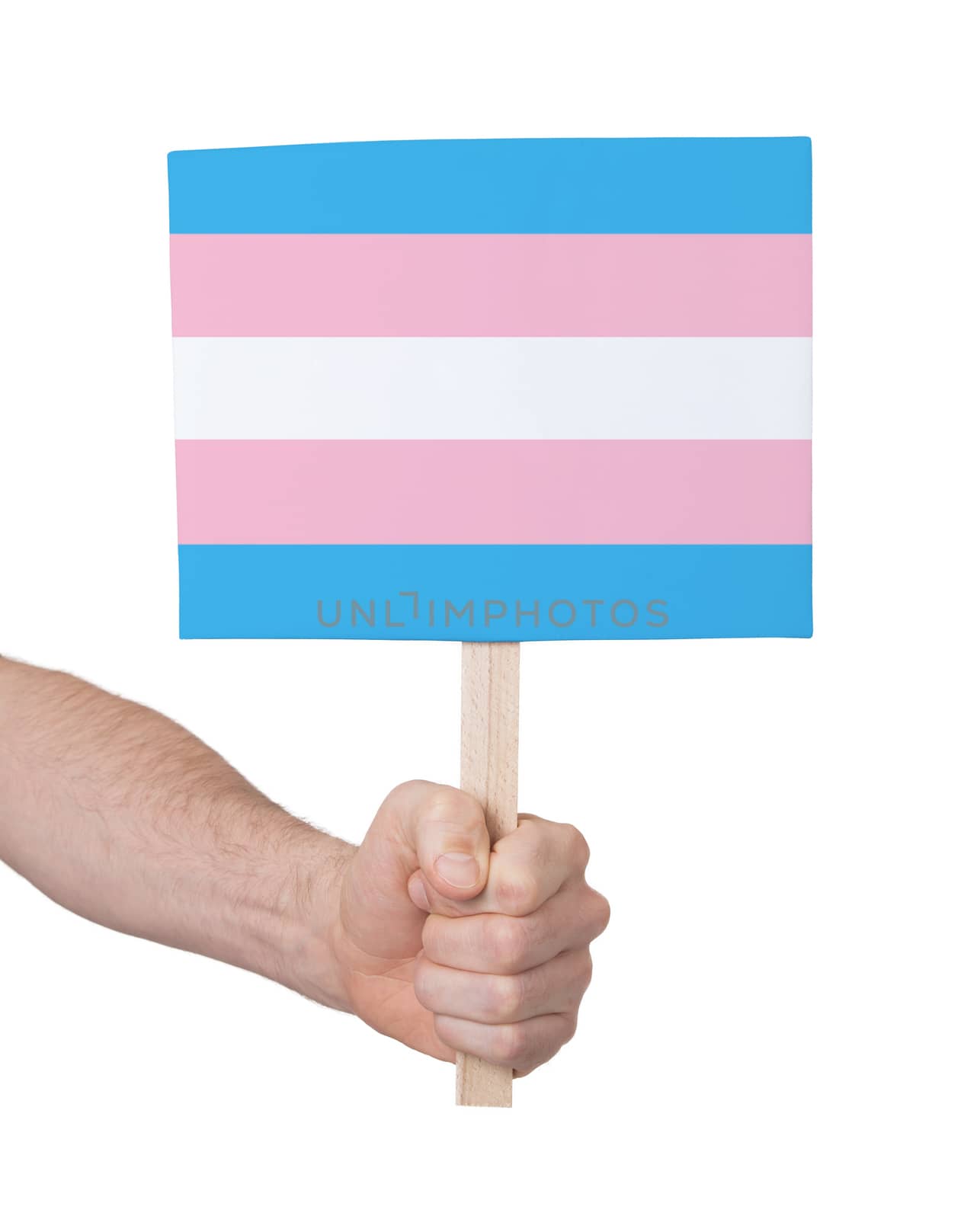 Hand holding small card, isolated on white - Flag of Trans Pride