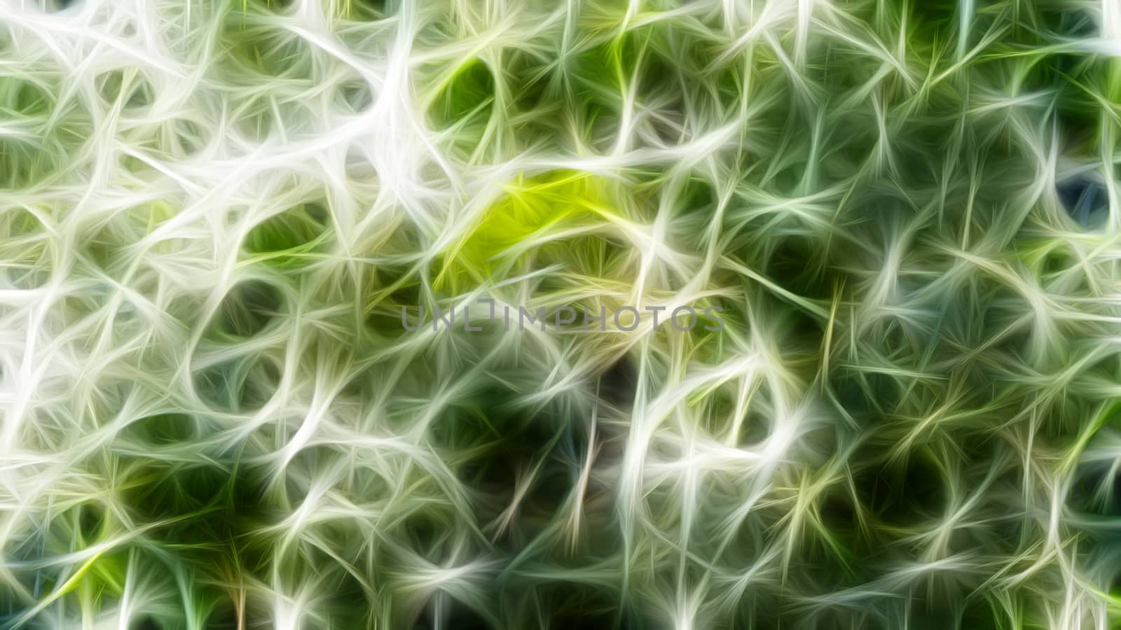 abstract green background