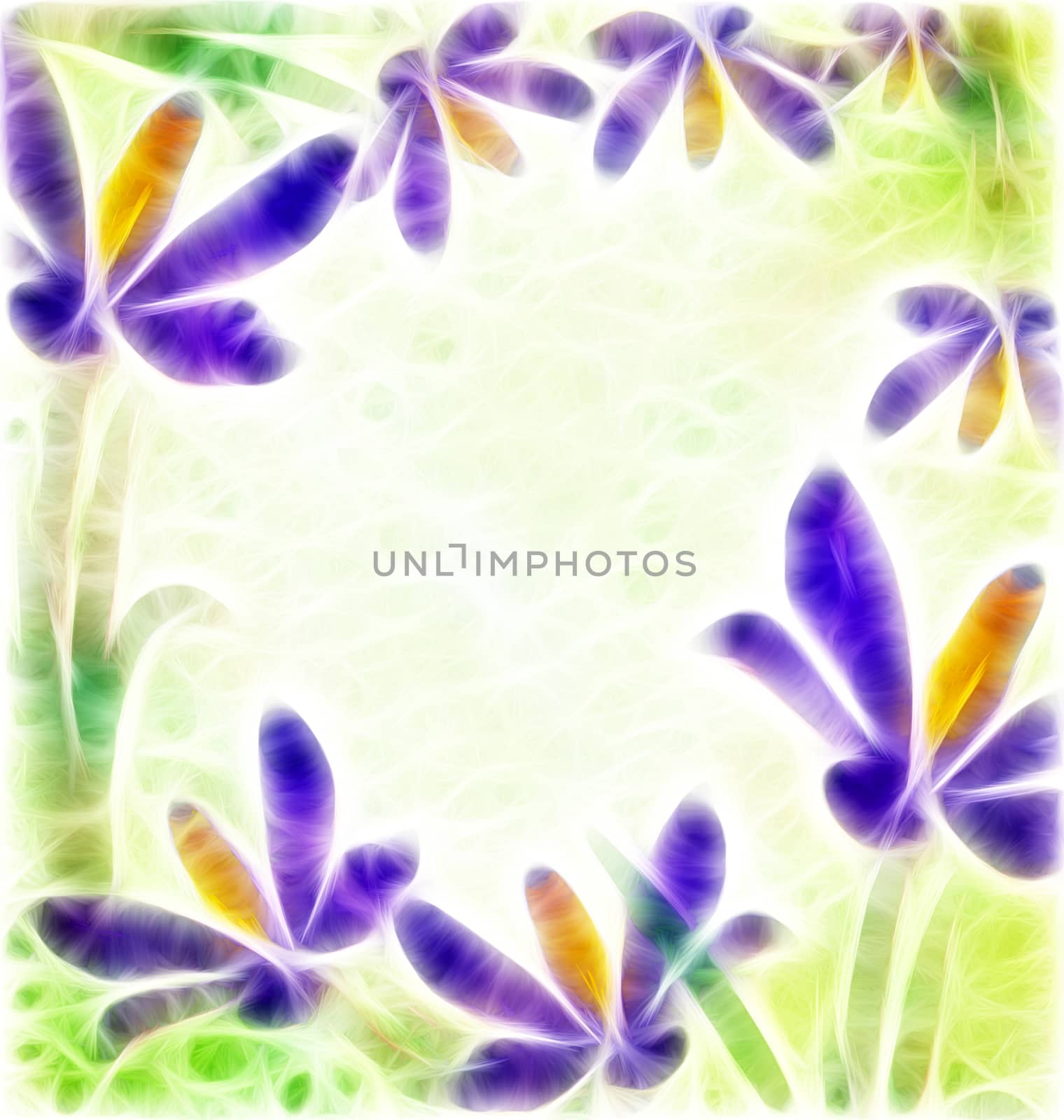 grunge spring flower crocus frame with green background