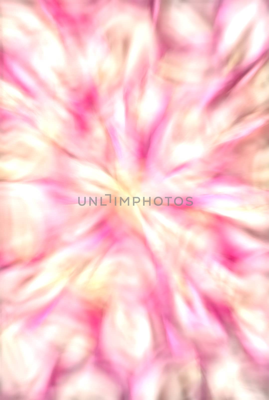 zoom blur rose petals deep bokeh by CherJu