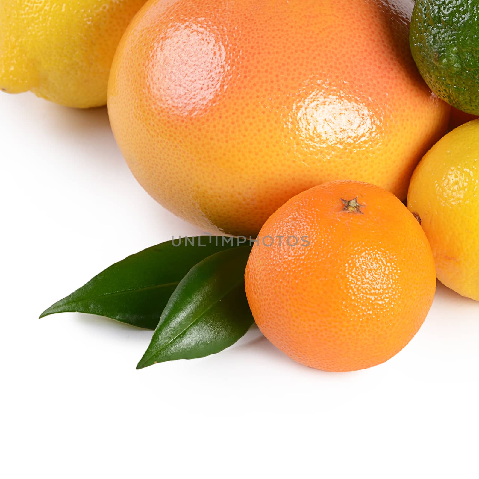 Allsorts from citrus isolated on white background