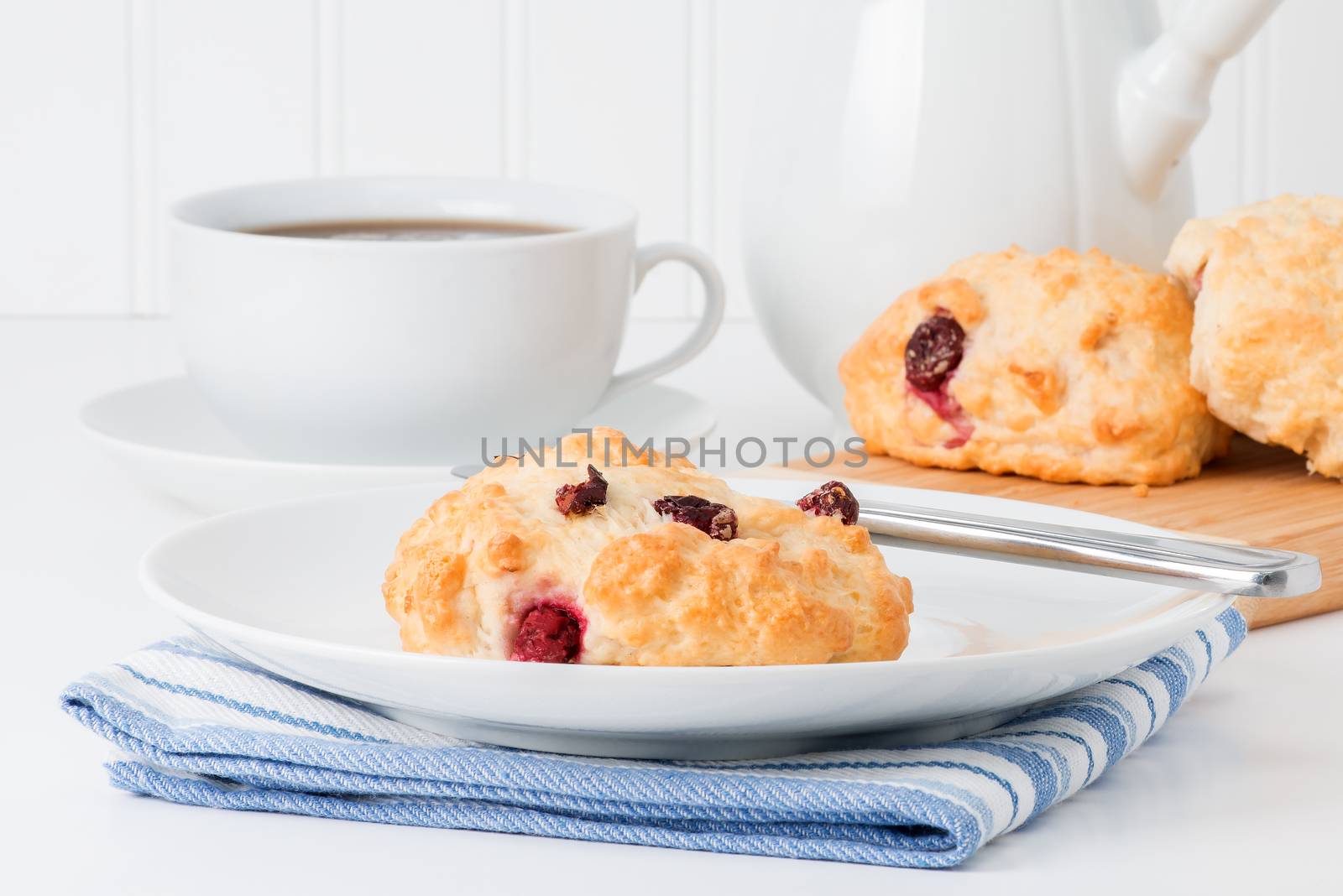 Cranberry Tea Biscuit by billberryphotography