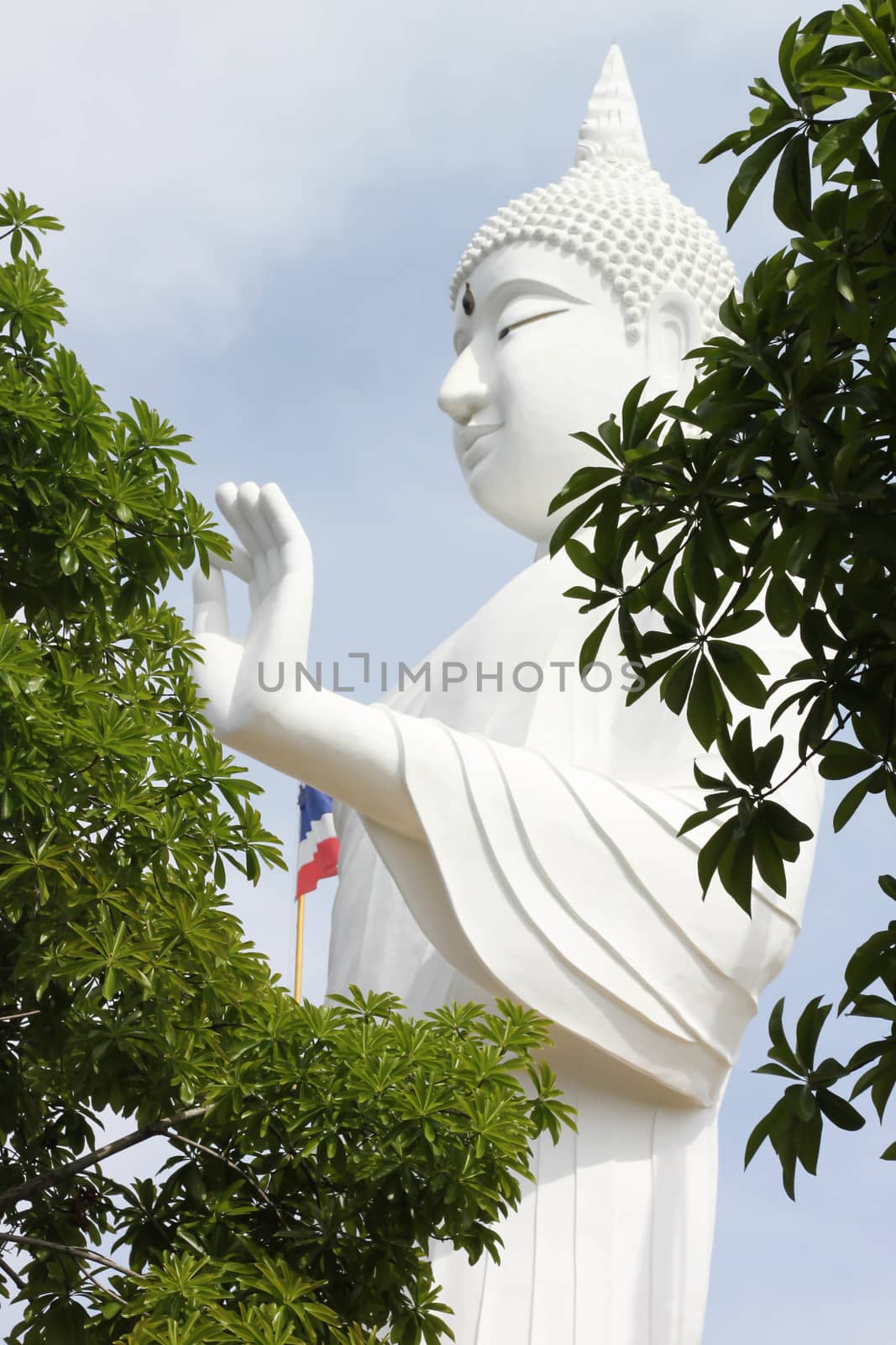Big Buddha statue with tree by primzrider