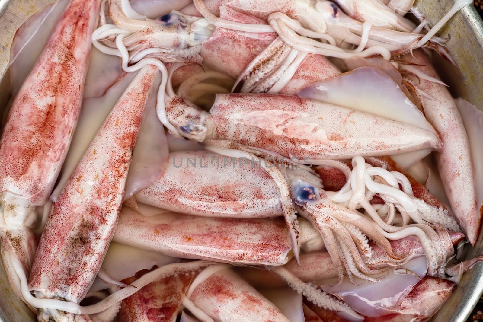 Freshly caught cuttlefish in Saigon, Vietnam by fisfra