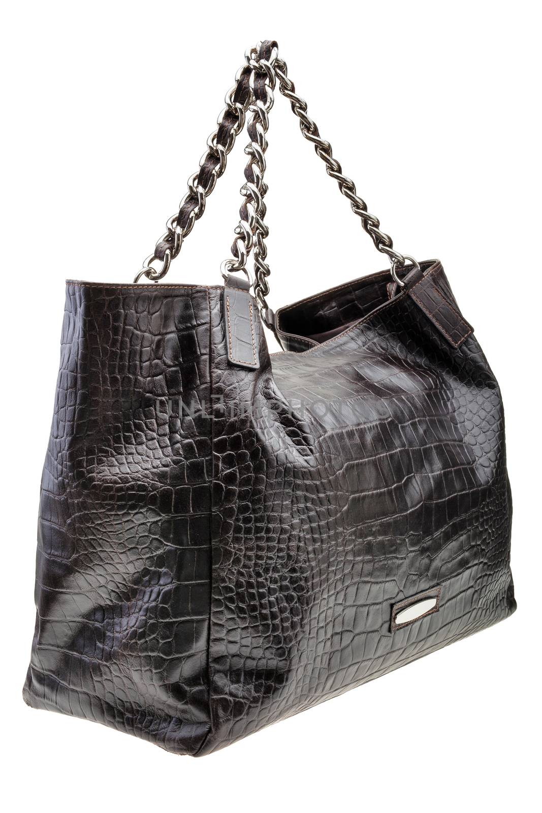 New Black leather womens bag with crocodile texture isolated on white background.