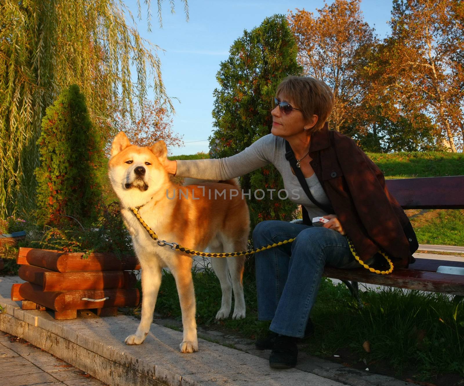 Lady with Akita inu enjoying on the bench in the city park