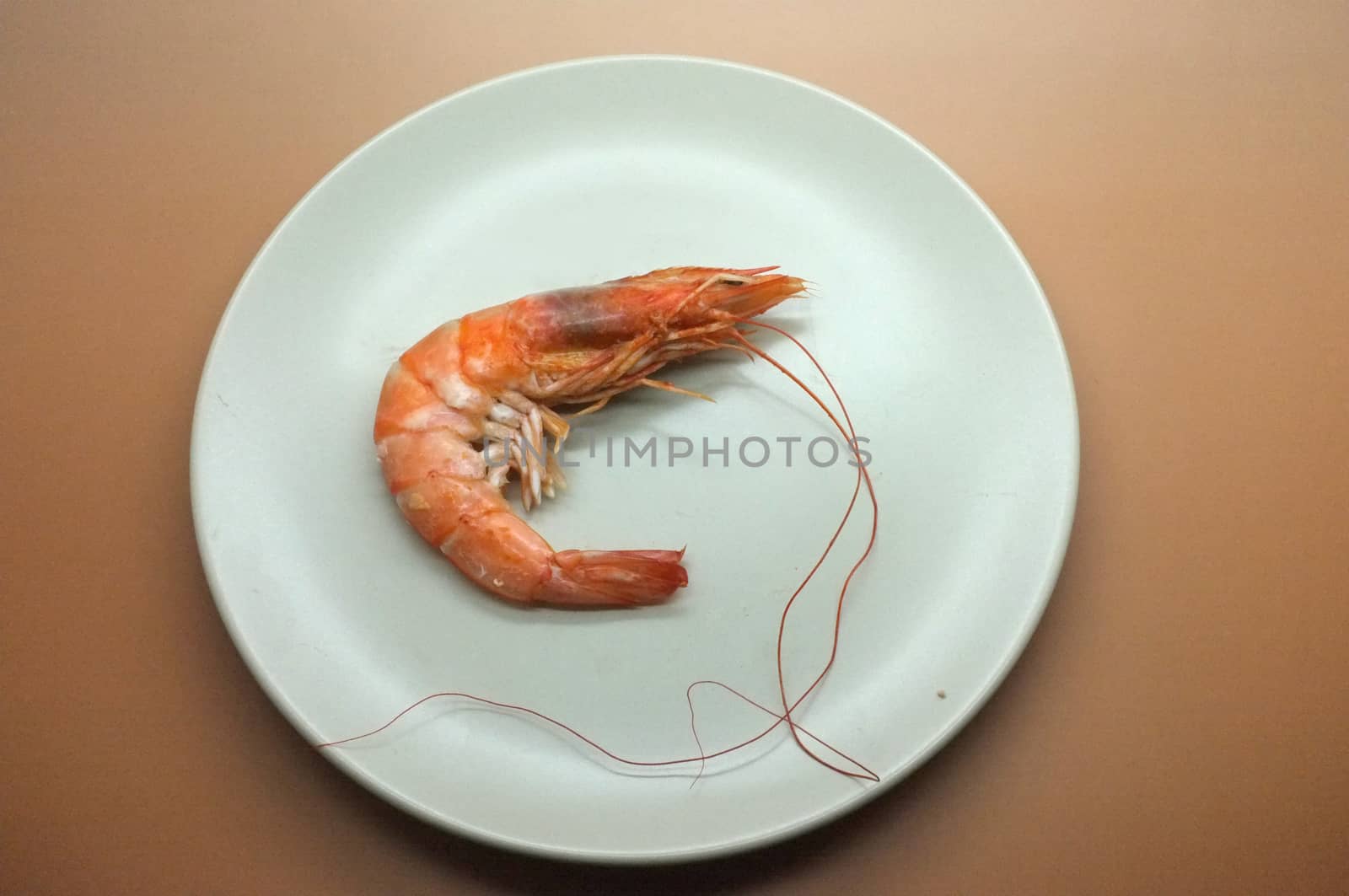 Cooked, boiled, steamed shrimp, prawn