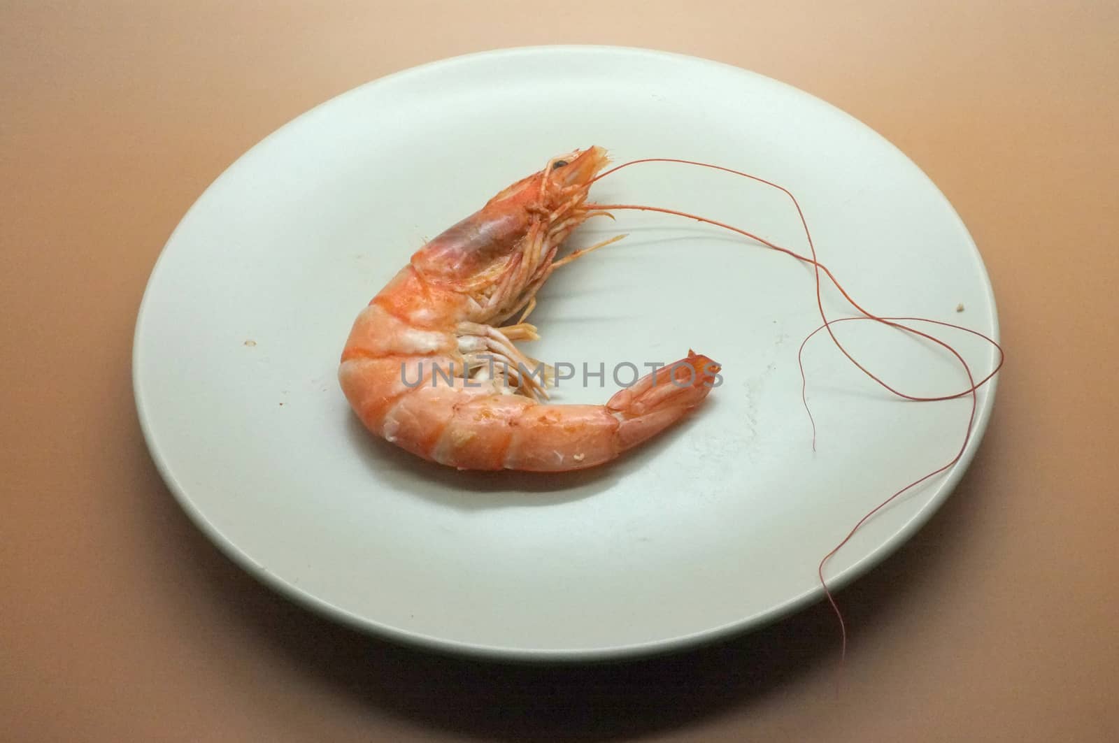 Cooked, boiled, steamed shrimp, prawn