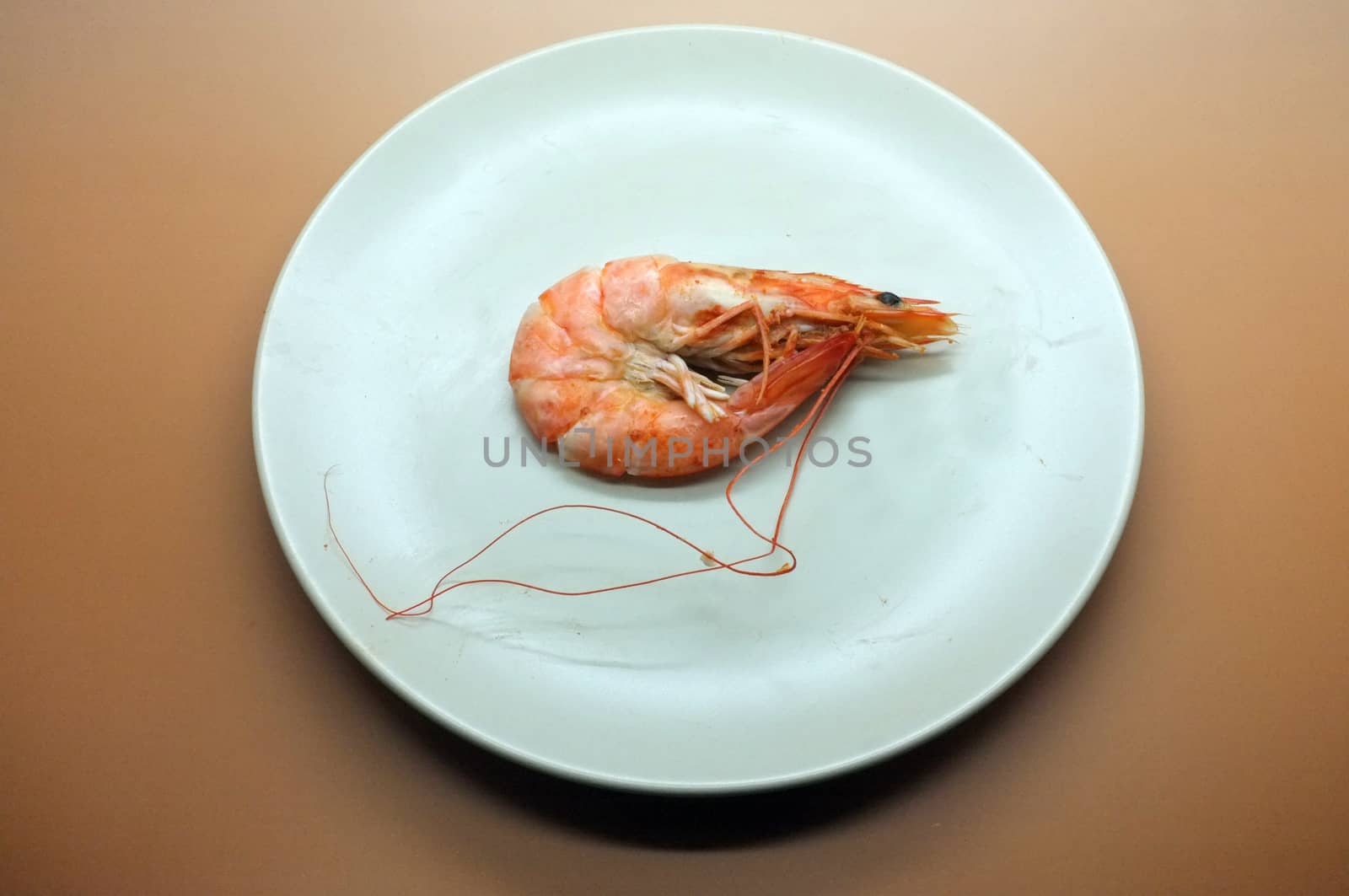 Cooked, boiled, steamed shrimp, prawn