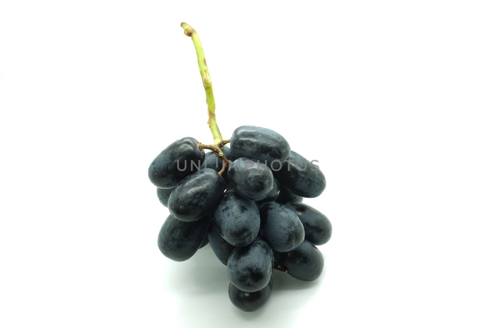 Ripe grapes
