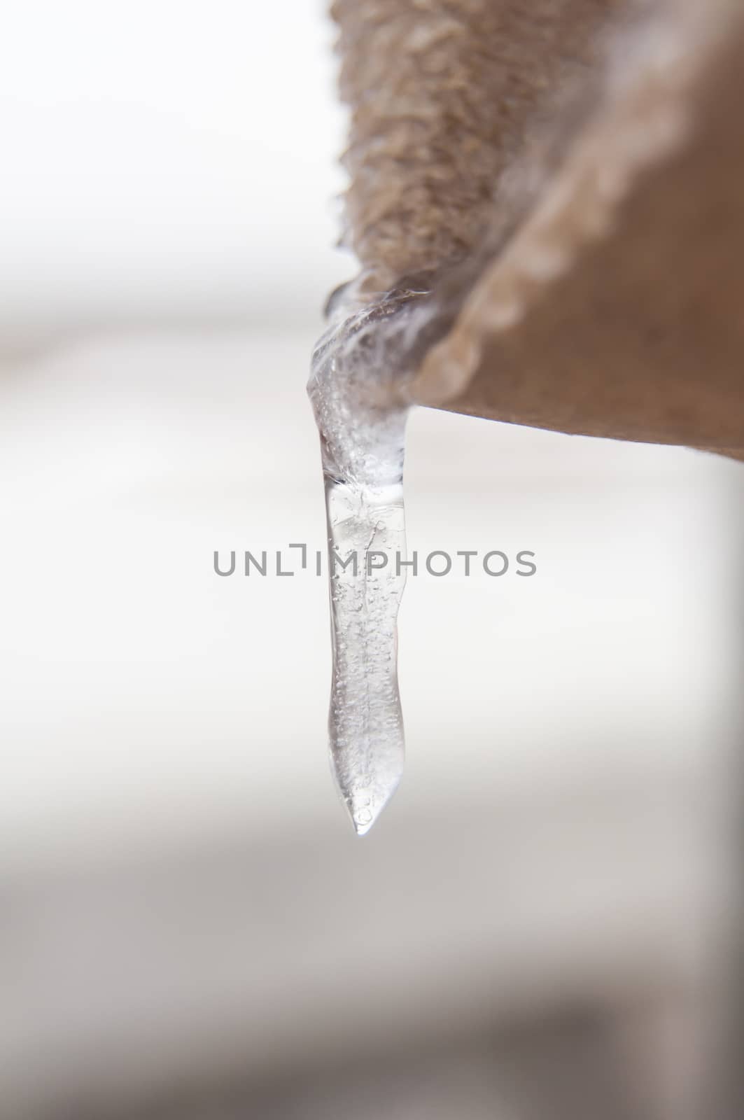 Icecycle hanging from a paper bag in the trash