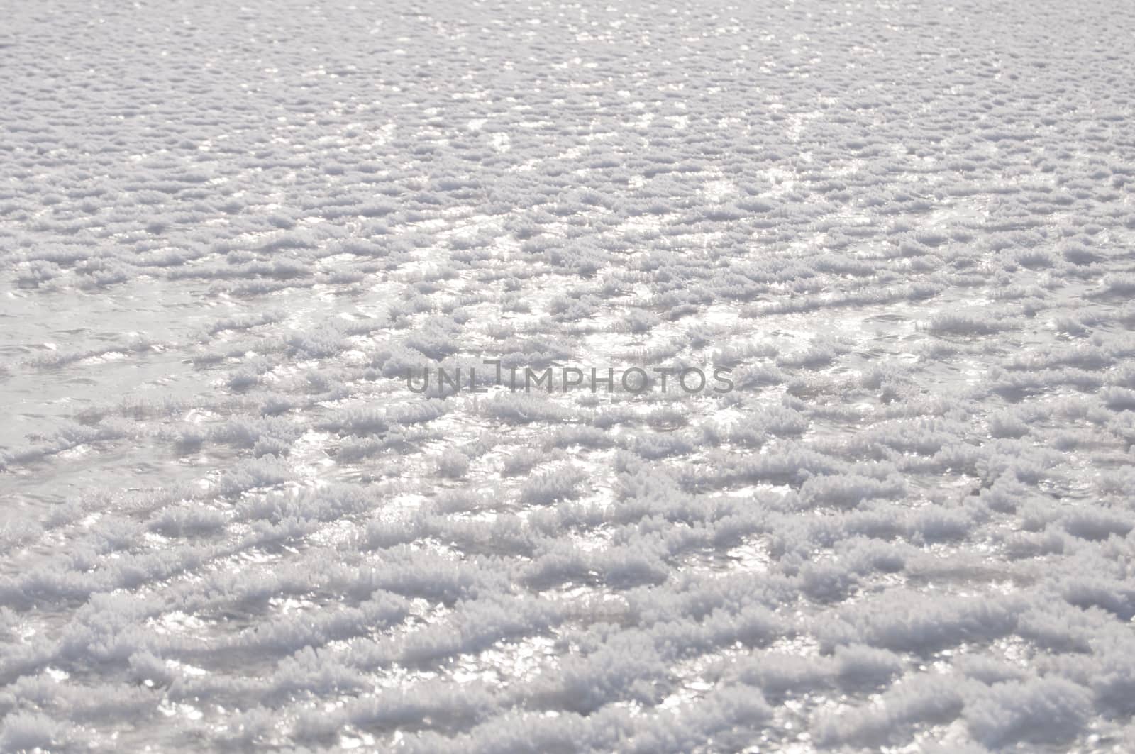 Sheets of Ice in the Tundra by bartystewart