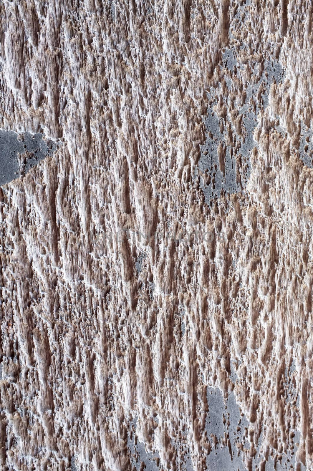 Weathered wooden texture