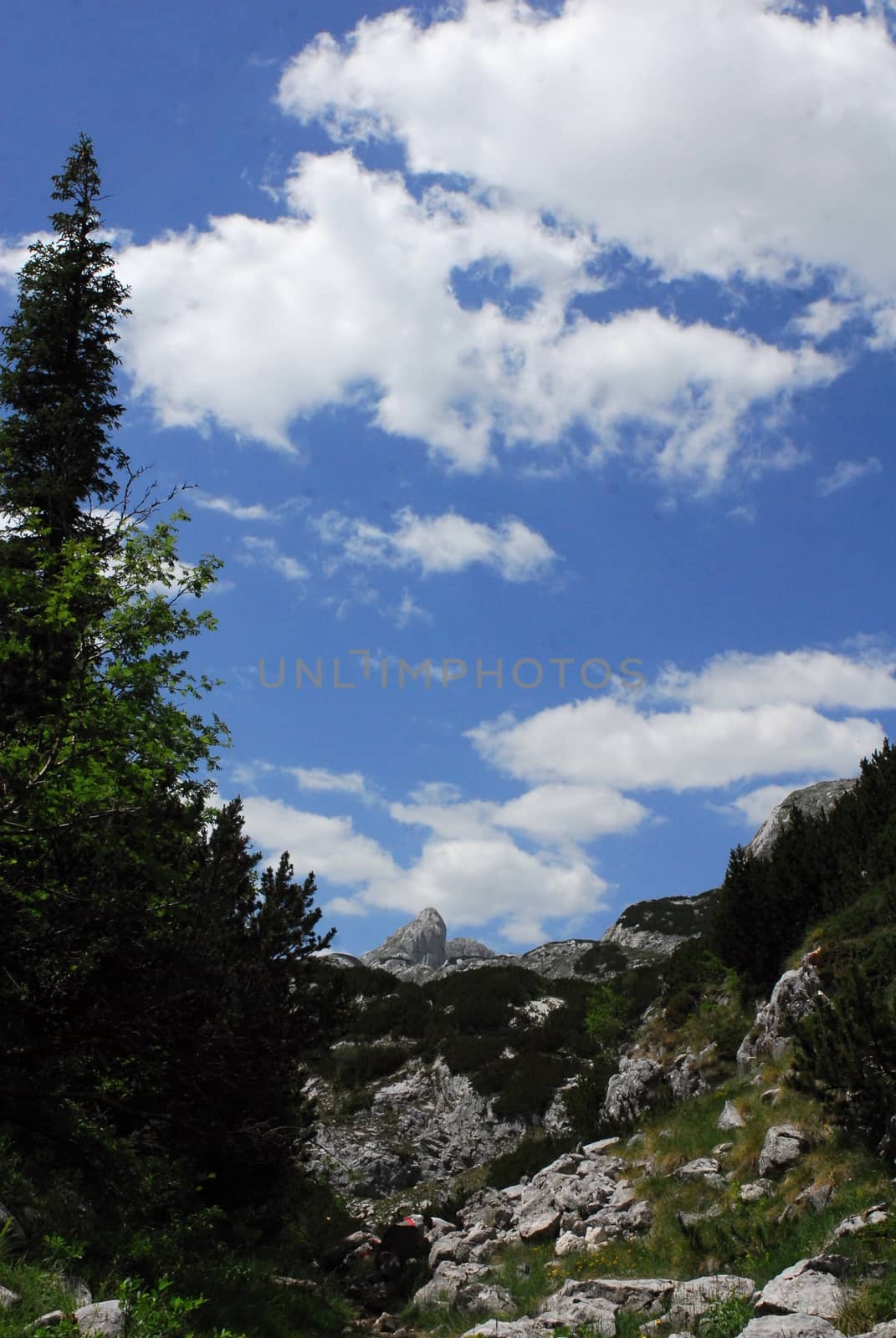 nice Durmitor mountains in central Montenegro - Balkan