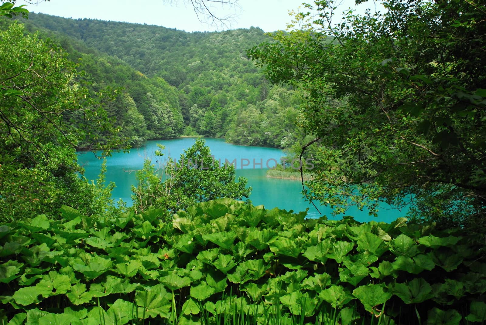 plitvice lake - national park in Hrvatska 