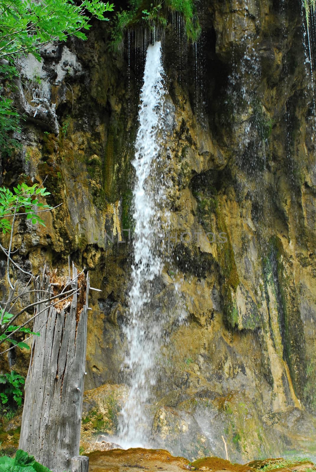 plitvice lake - national park in Hrvatska 