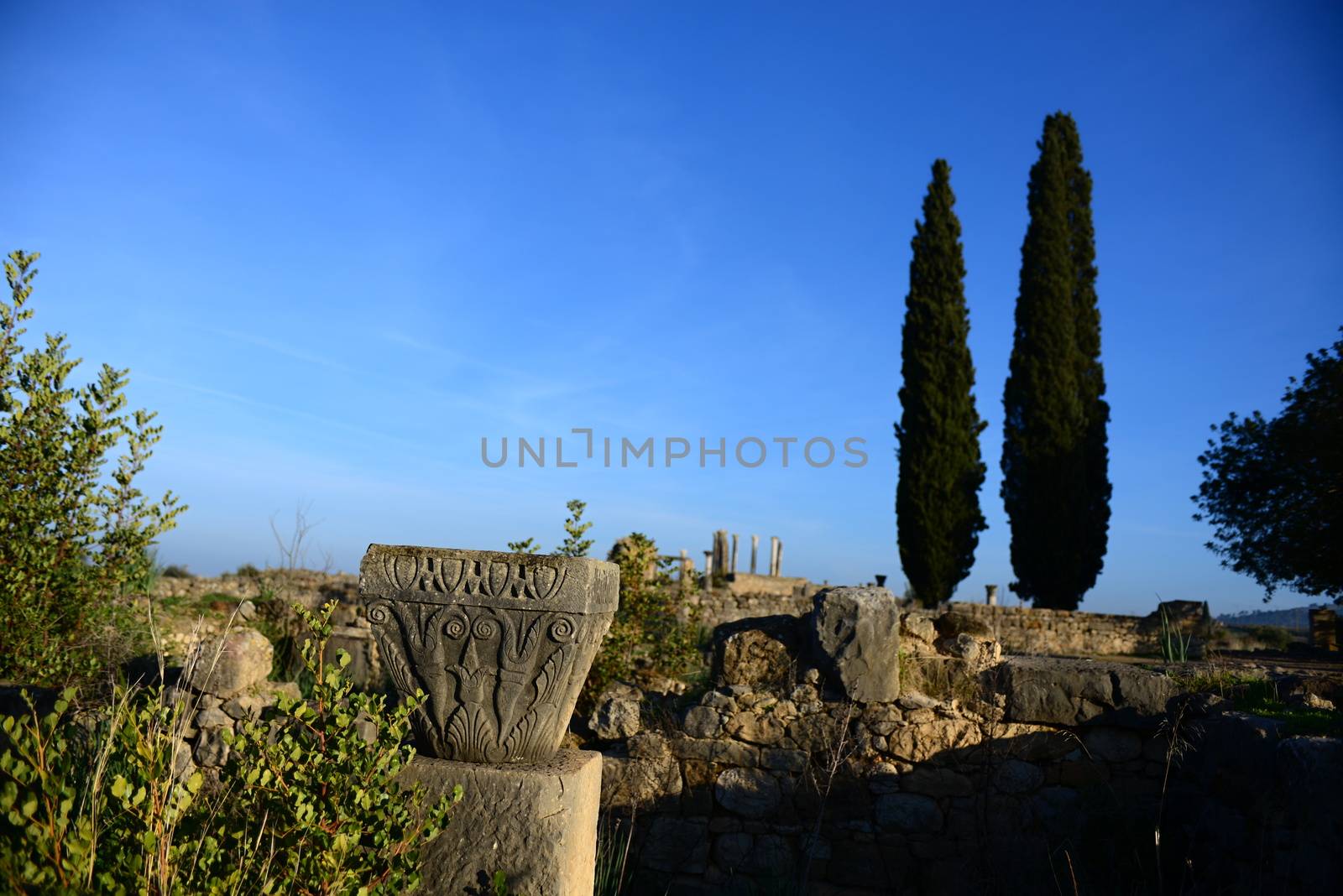 Volubilis - ruins of historical city from age of roman empire