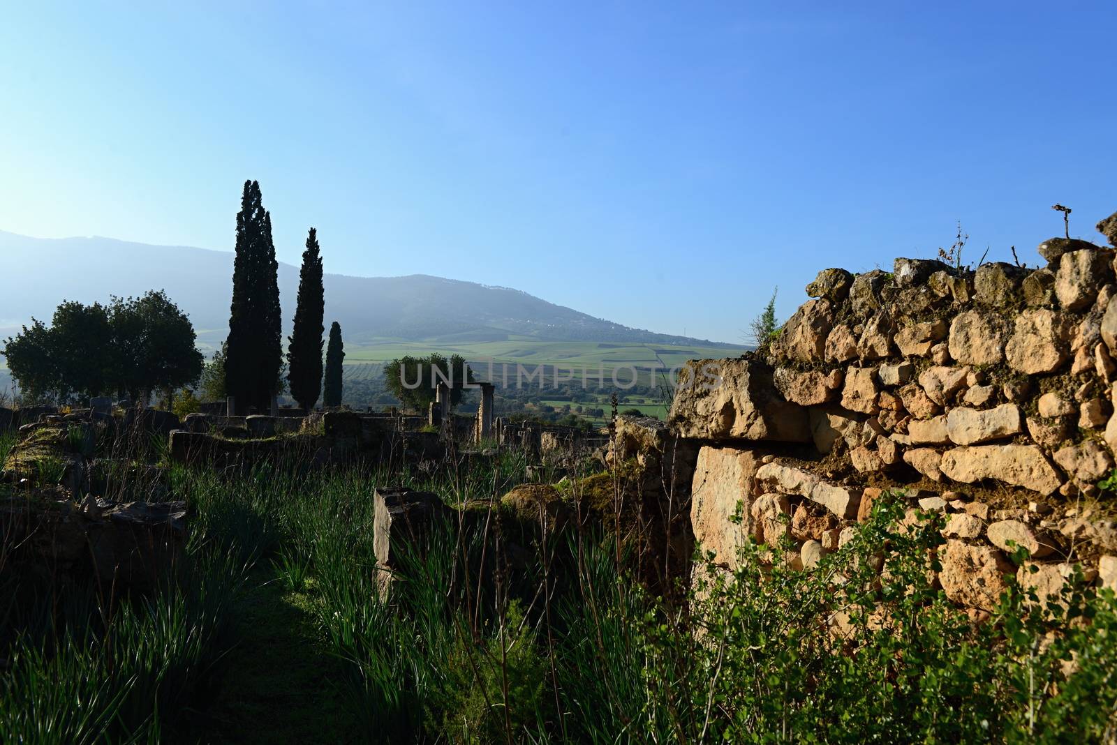 Volubilis - ruins of historical city from age of roman empire