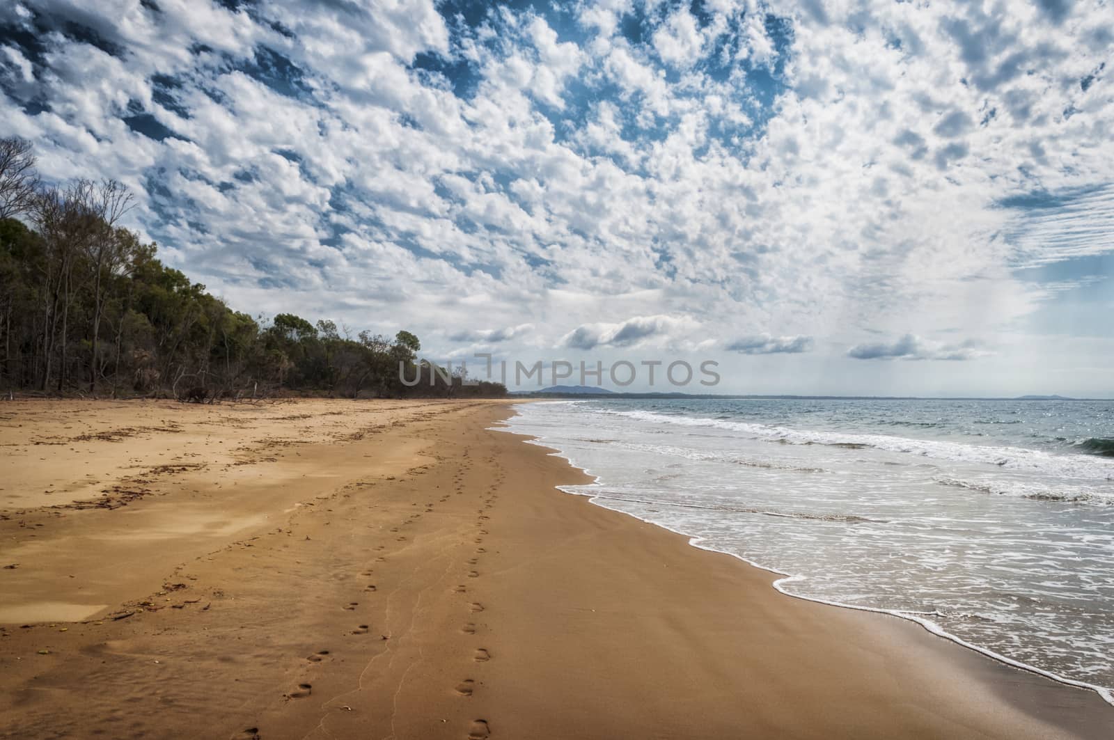 Beach at the East Coast of Queensland, Australia