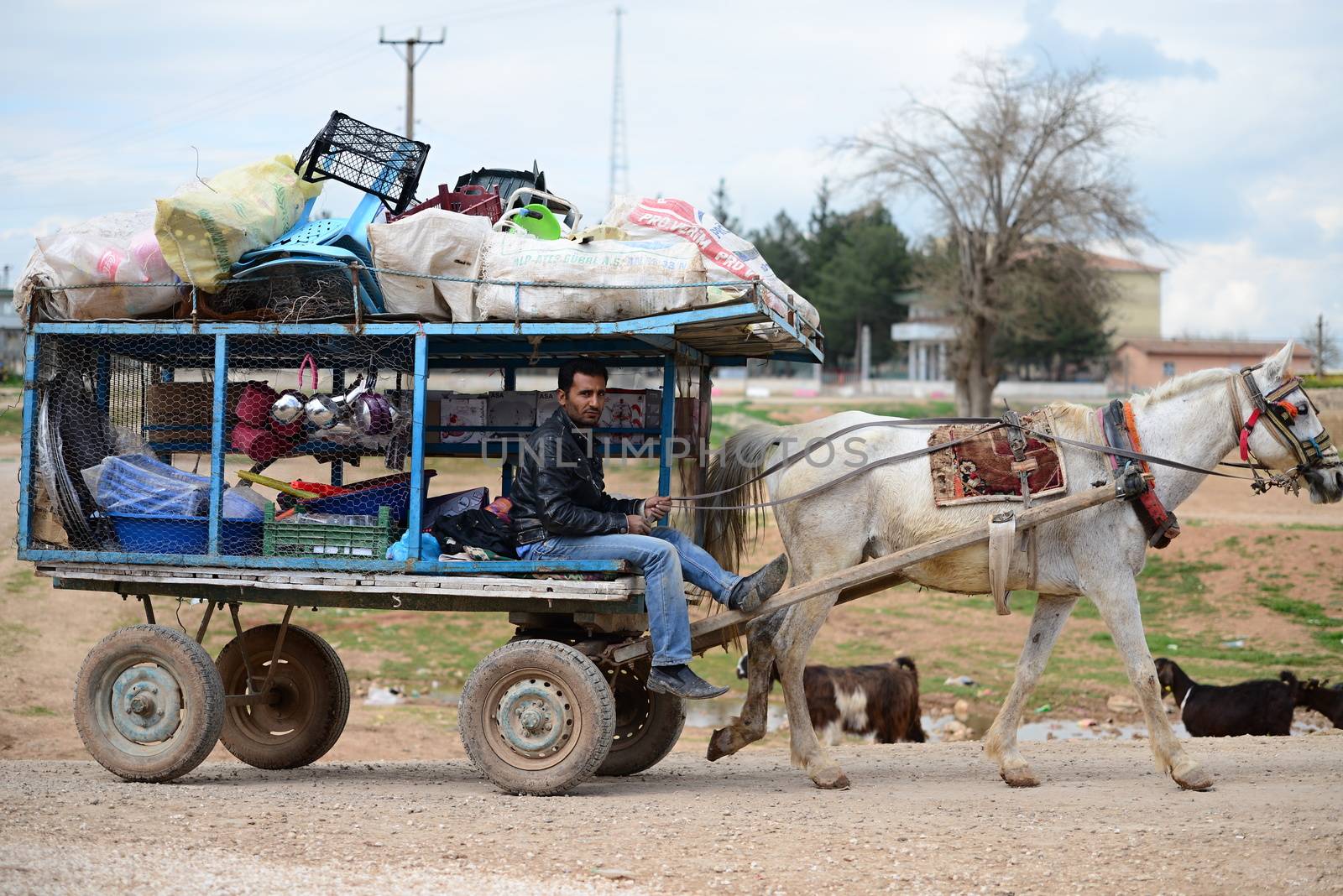 many children returning into Konbane with their parents. 3.4.2015, Kobane, Syria