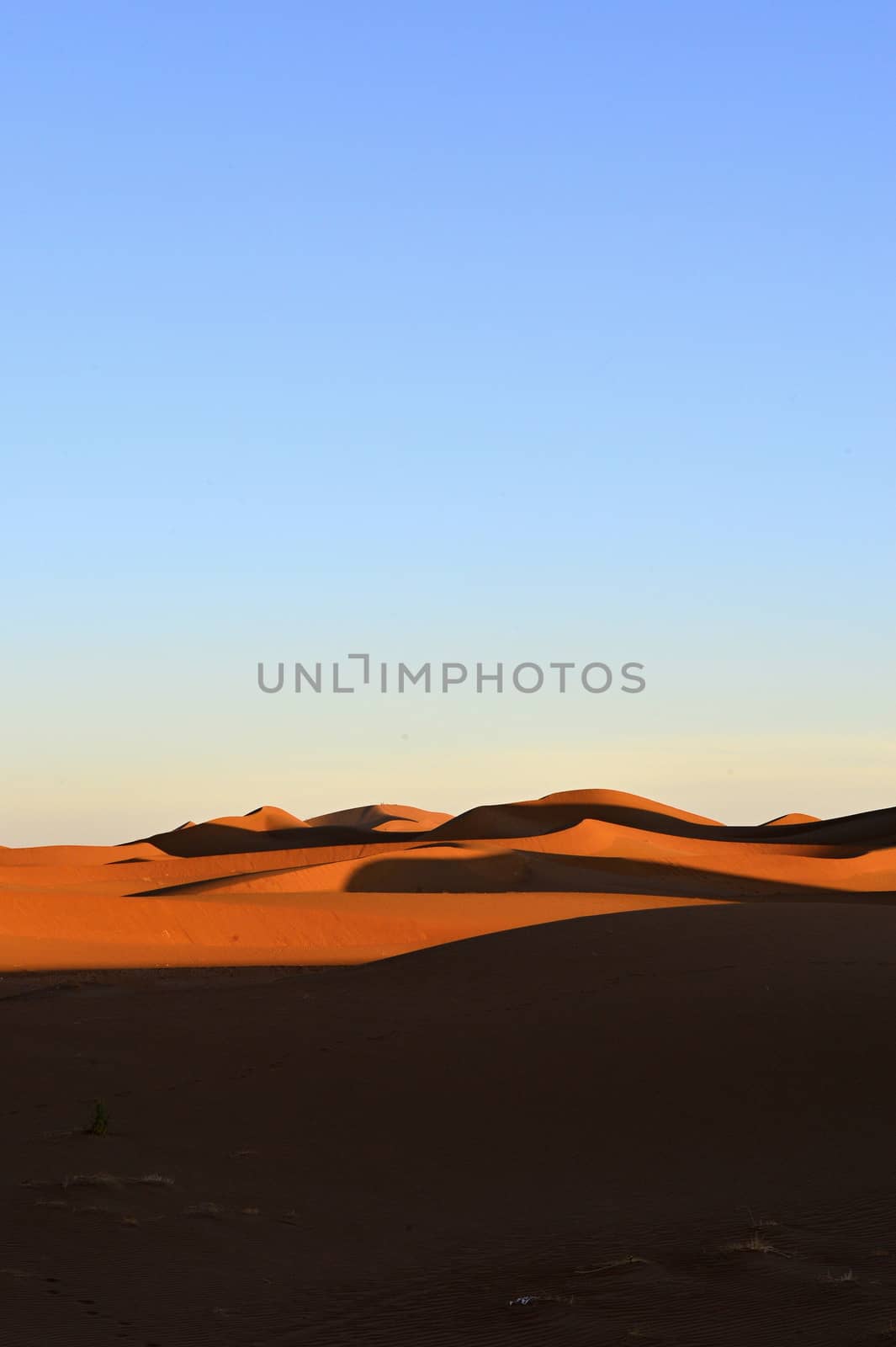 sand Sahara desert in Morocco near Mhamid