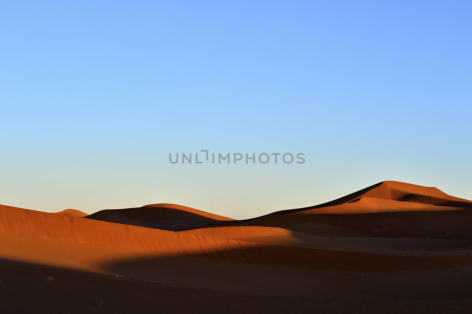 sand Sahara desert in Morocco near Mhamid