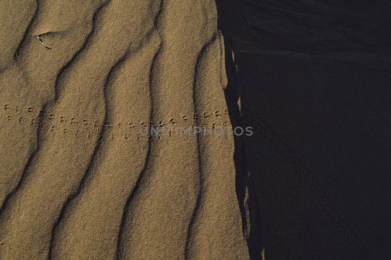 sand Sahara desert in Morocco near Mhamid