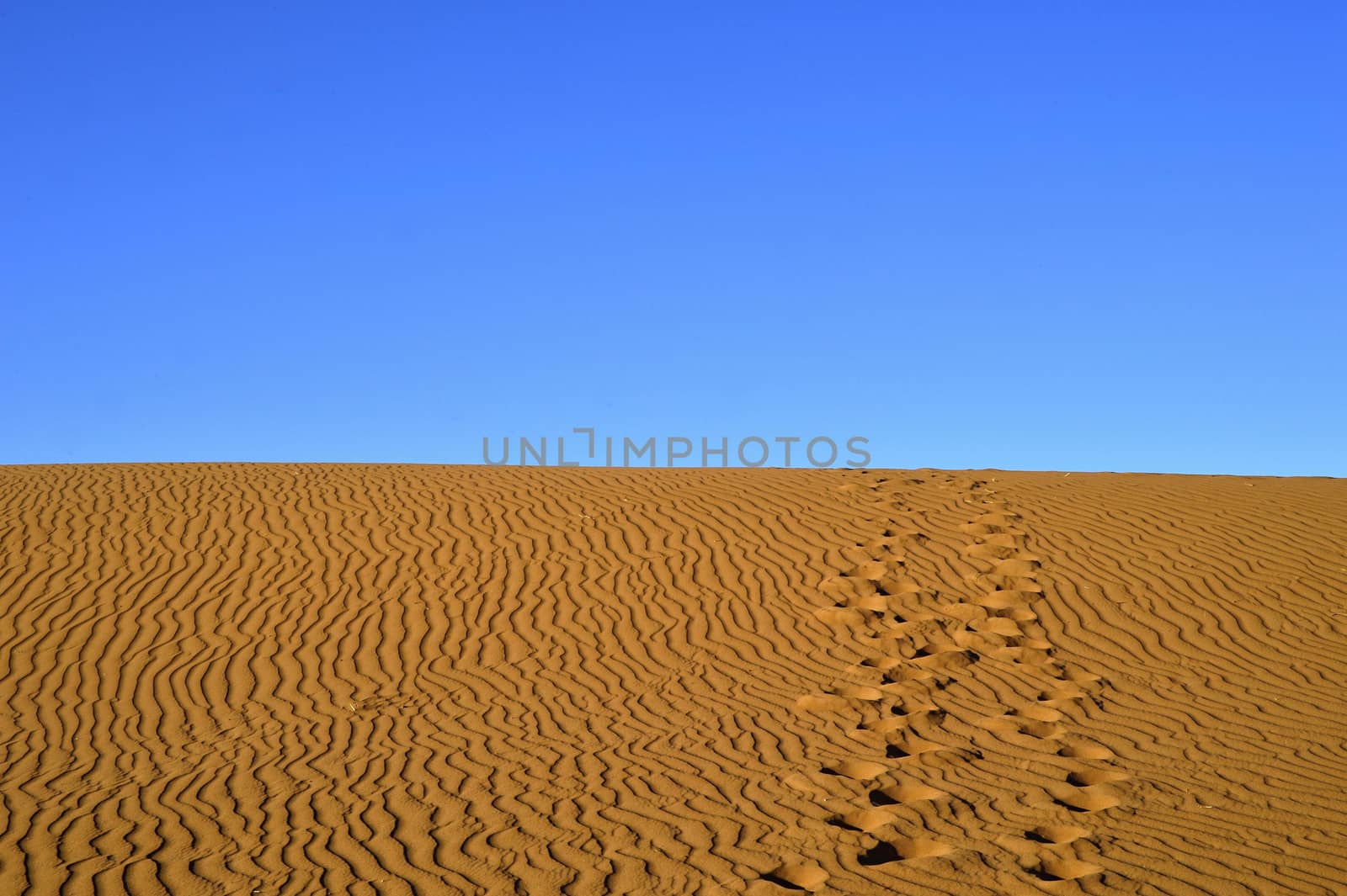 sand Sahara desert in Morocco near Mhamid