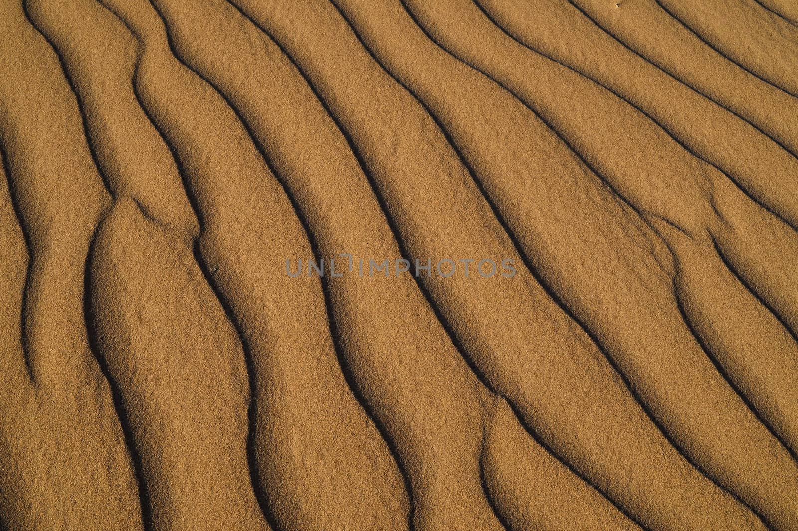 sand Sahara desert in Morocco near Mhamid