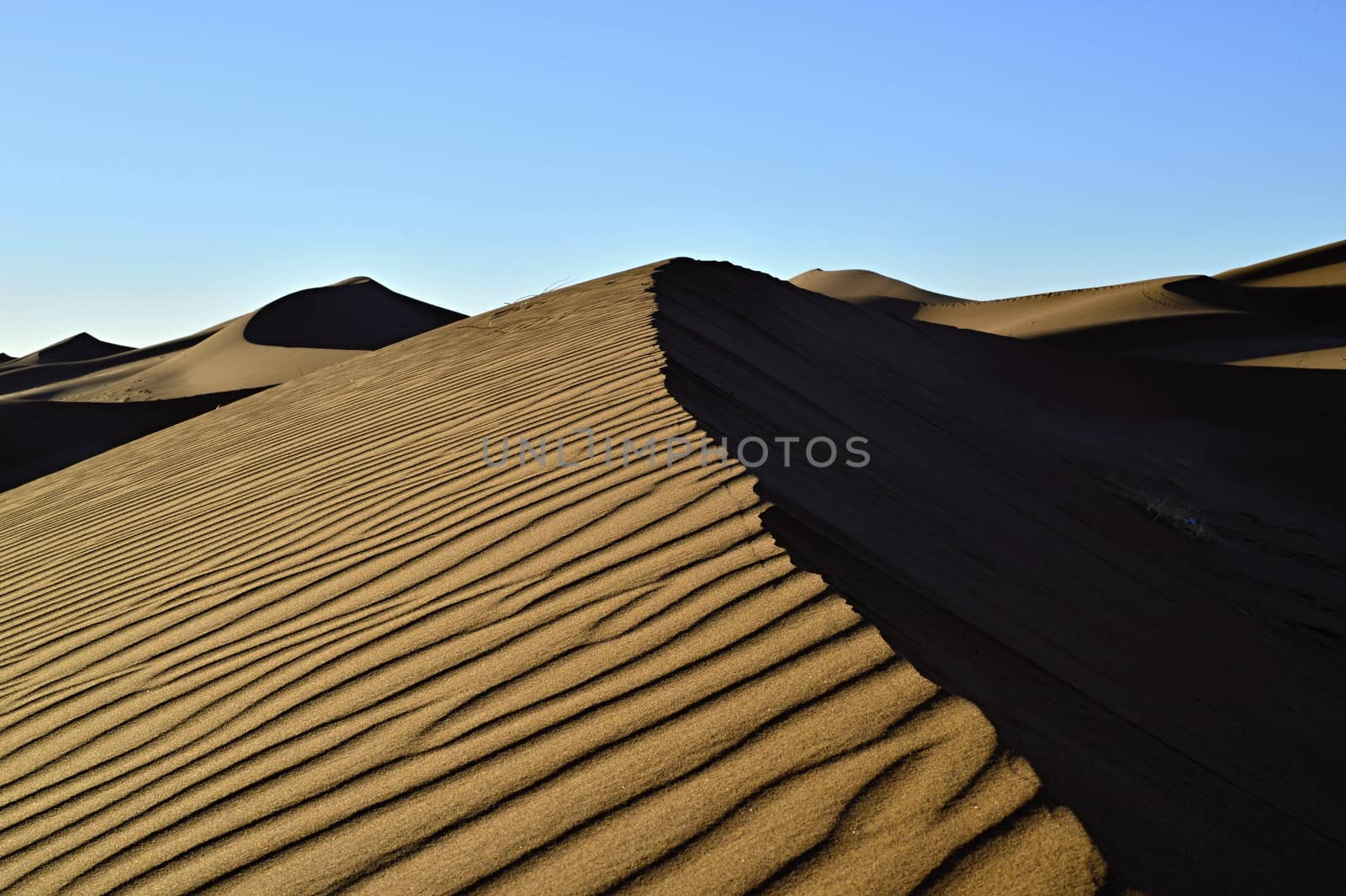 sand Sahara desert in Morocco near Mhamid