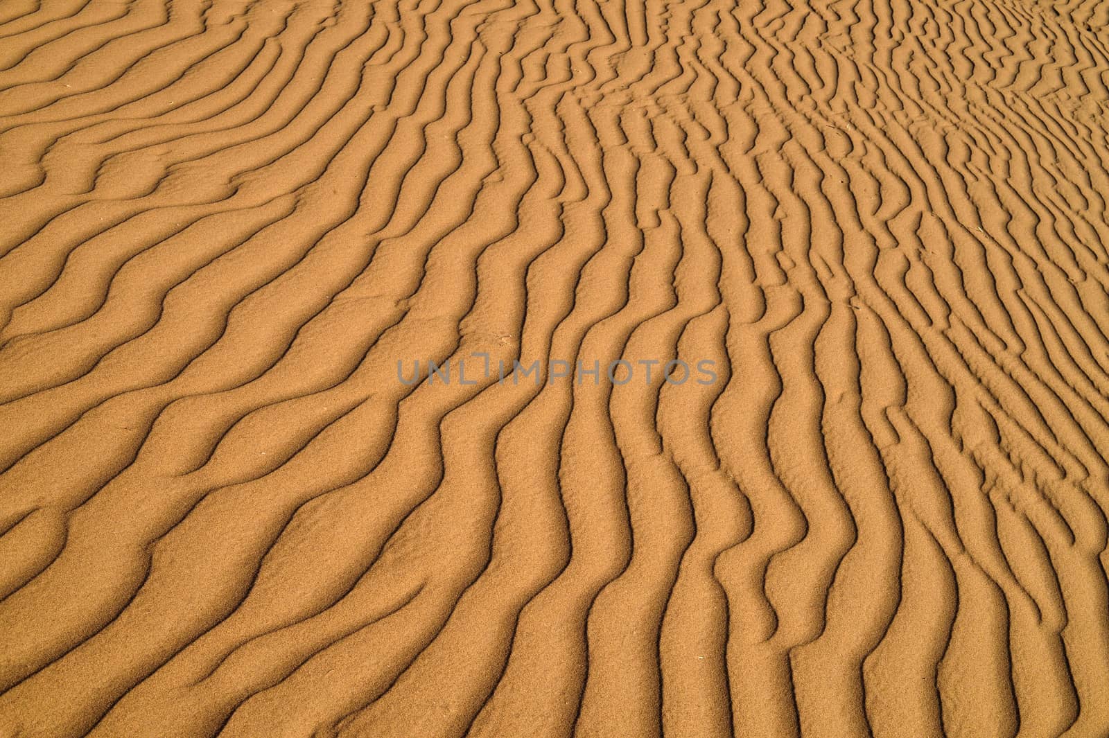 sand Sahara desert in Morocco near Mhamid