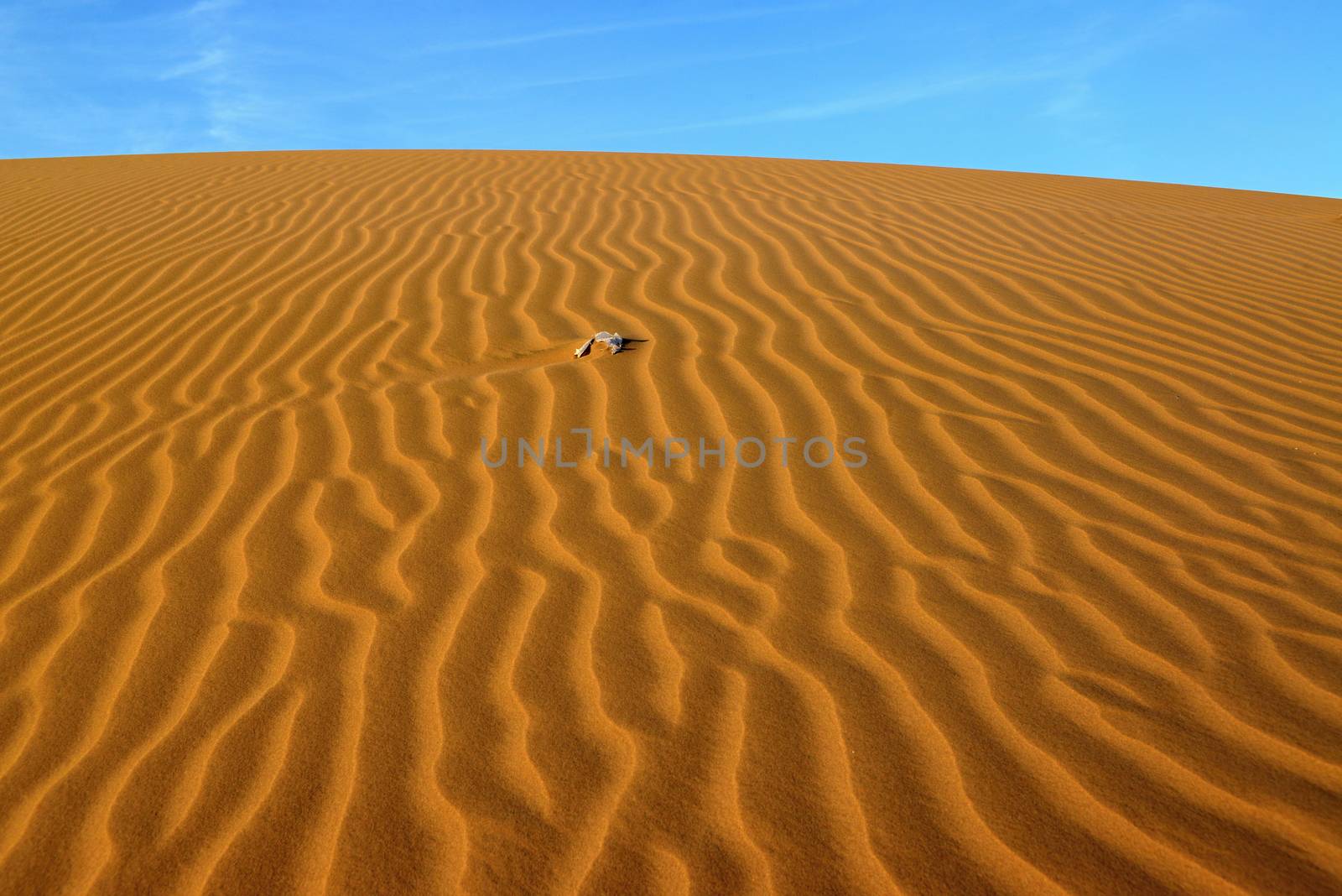 sand Sahara desert in Morocco near Mhamid