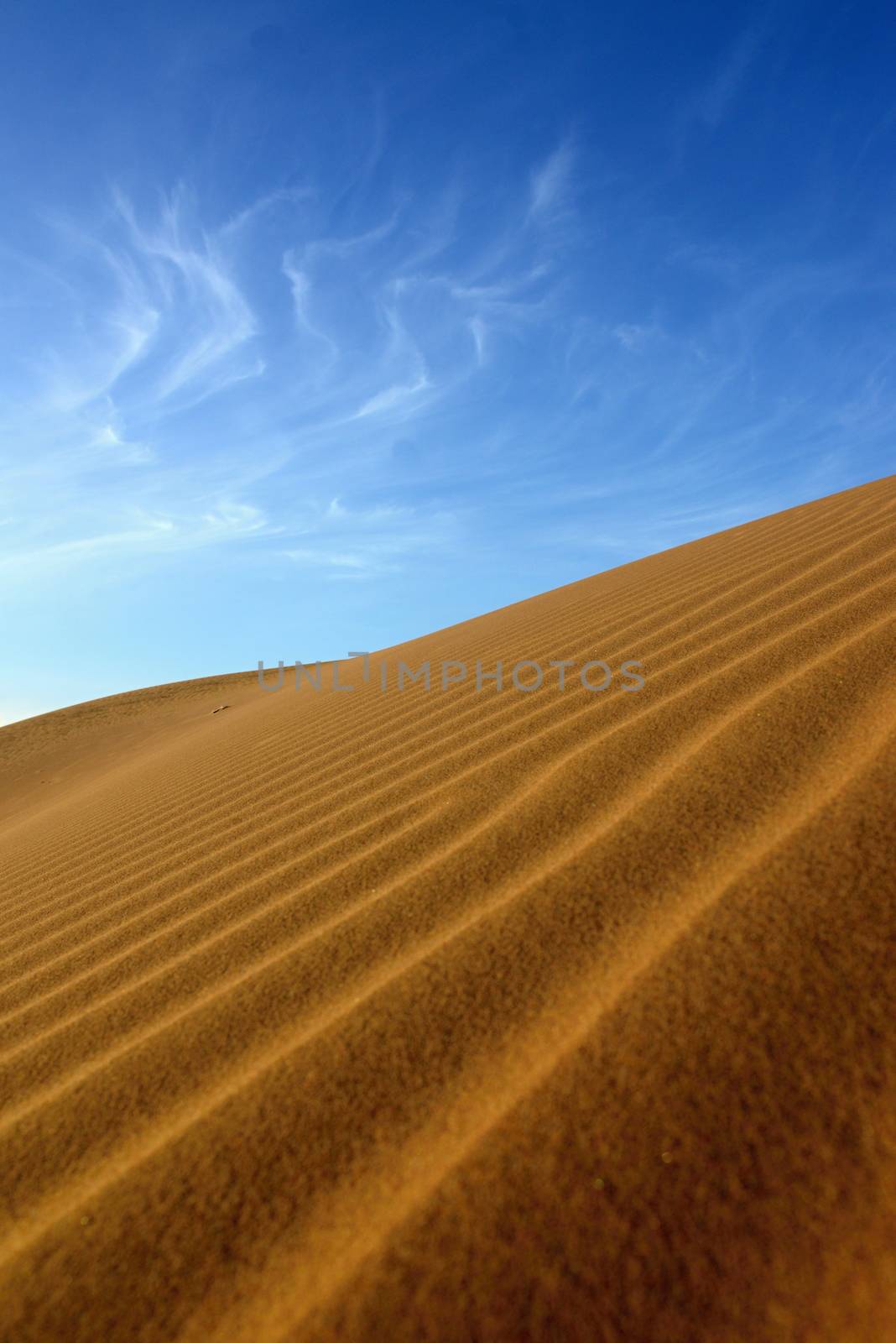 sand Sahara desert in Morocco near Mhamid