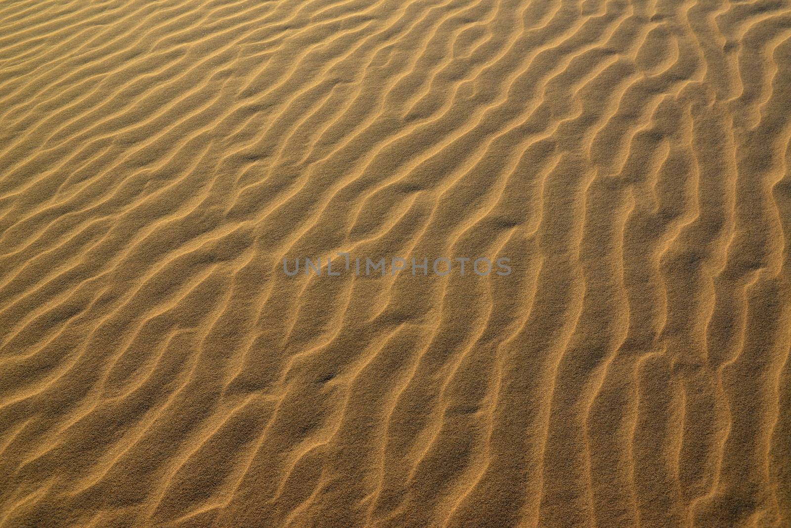 sand Sahara desert in Morocco near Mhamid