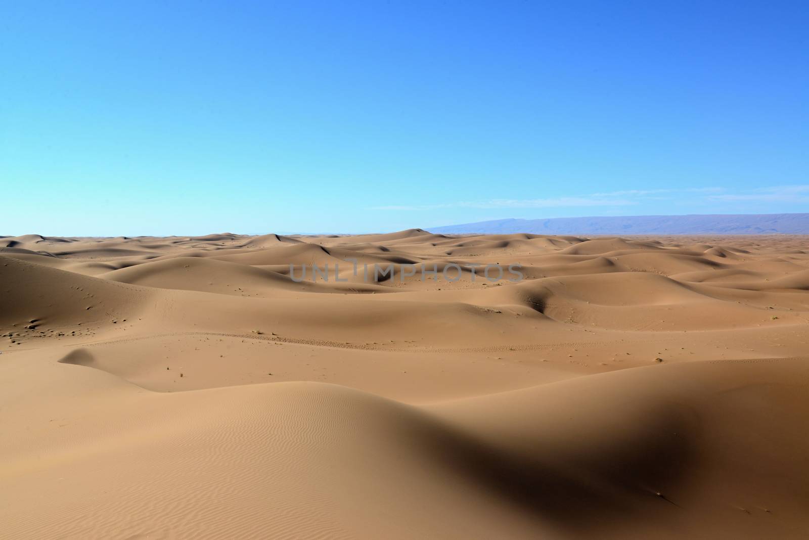 sand Sahara desert in Morocco near Mhamid