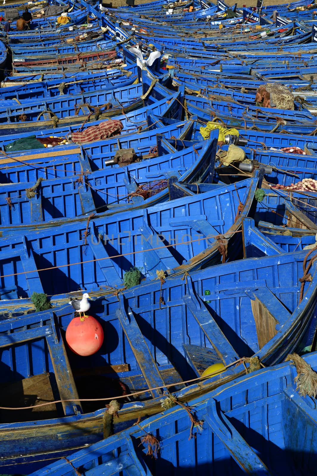 nice blue boat in old port in Essaouira