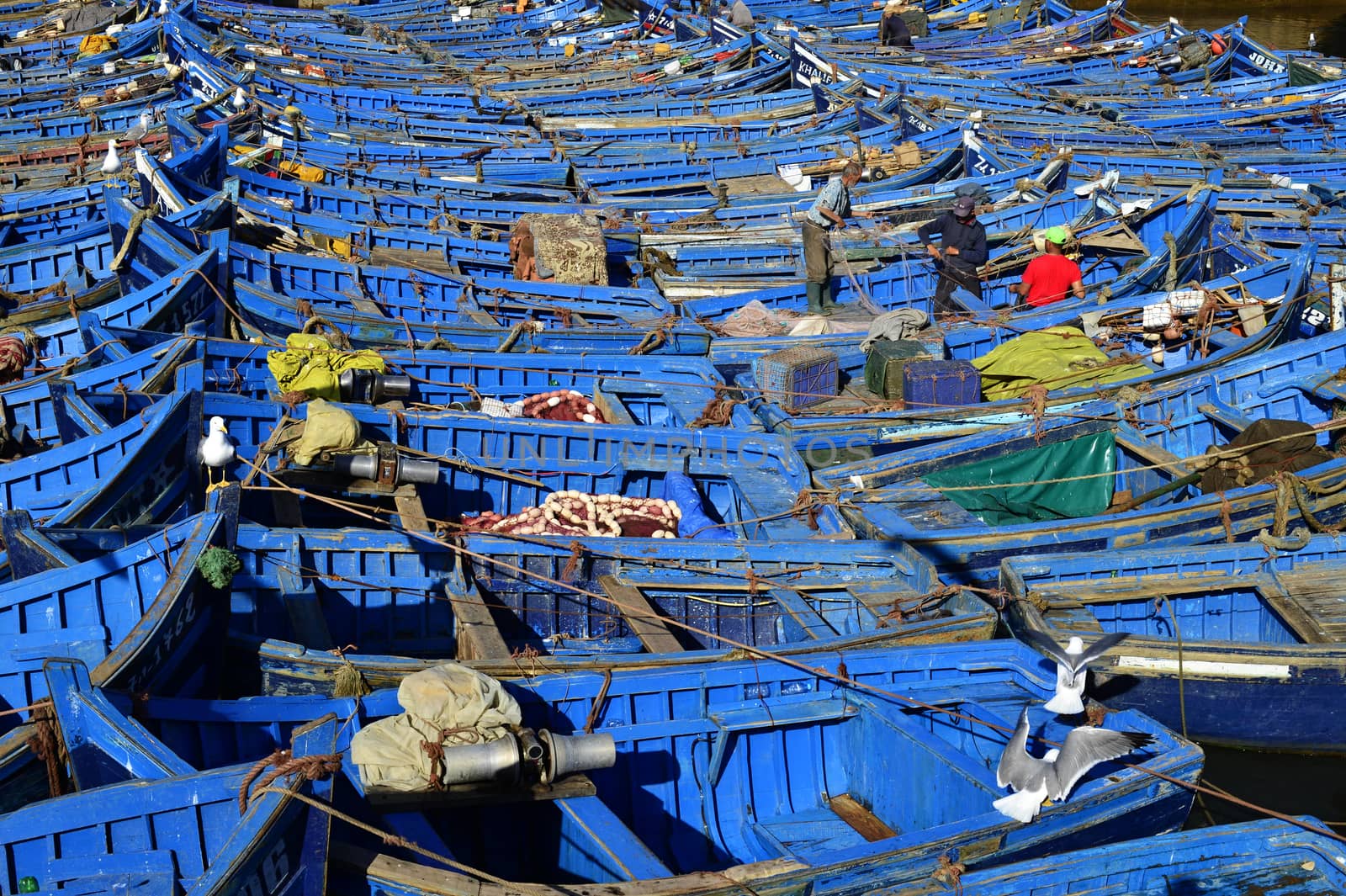 nice blue boat in old port in Essaouira
