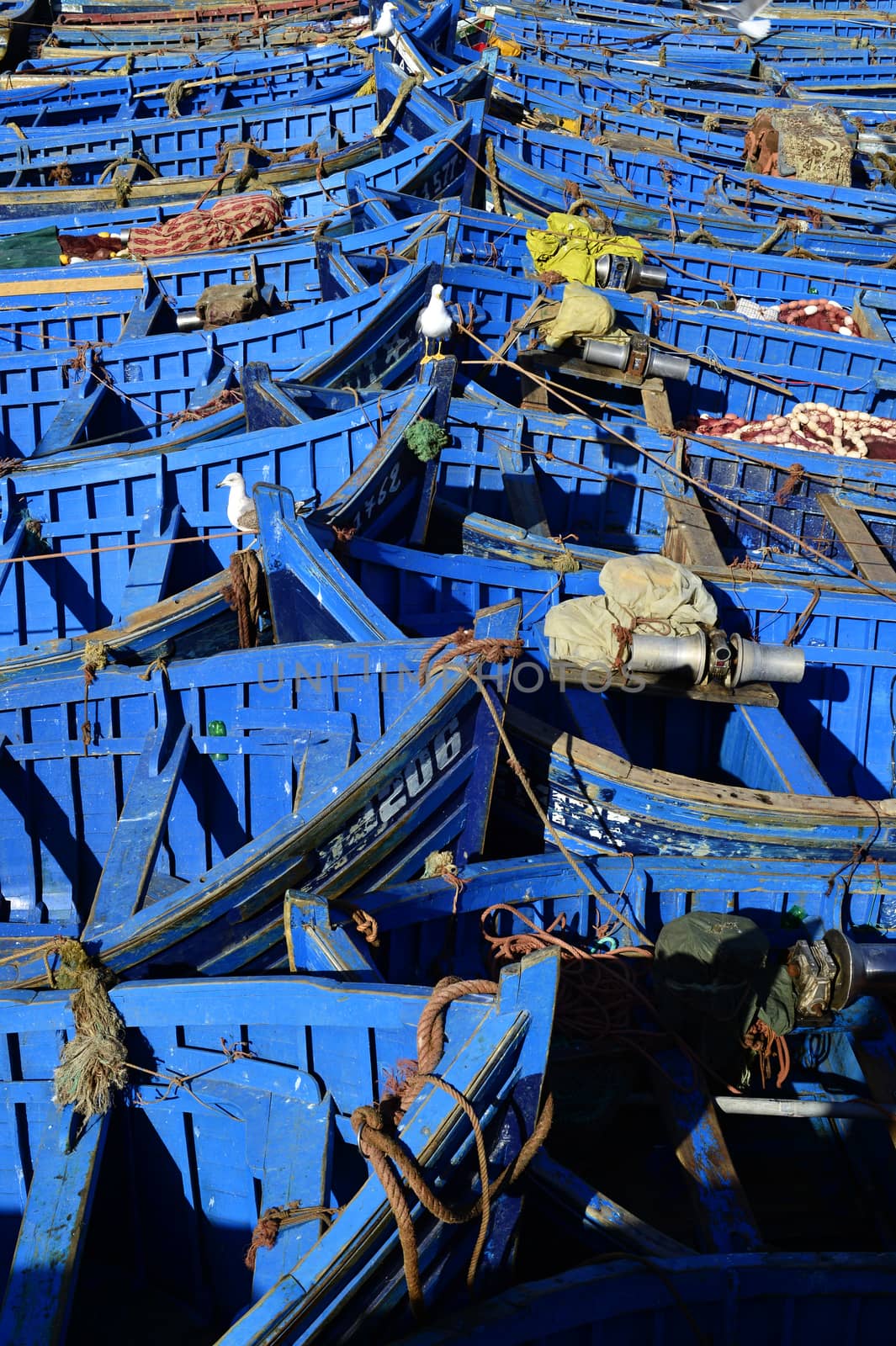 nice blue boat in old port in Essaouira